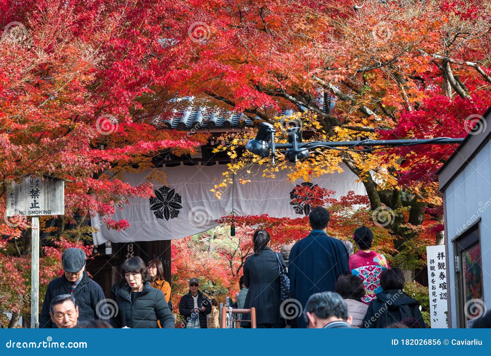Eikando Temple At Autumn Maple Season Japan Maple Momiji Season Image Maple Leaves At Stone Ladder Editorial Photo Image Of Attraction Maple