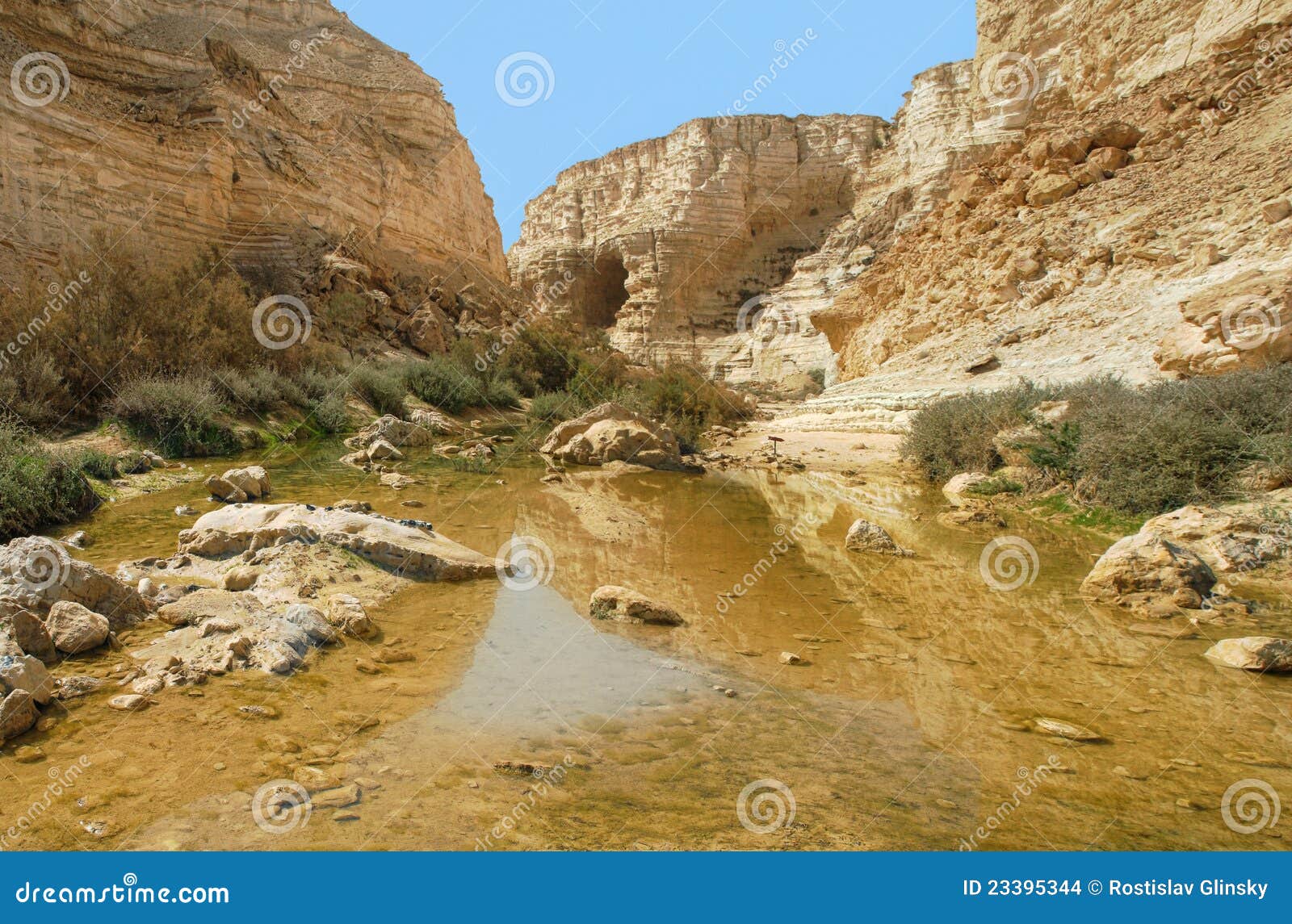 ein avdat canyon. israel.