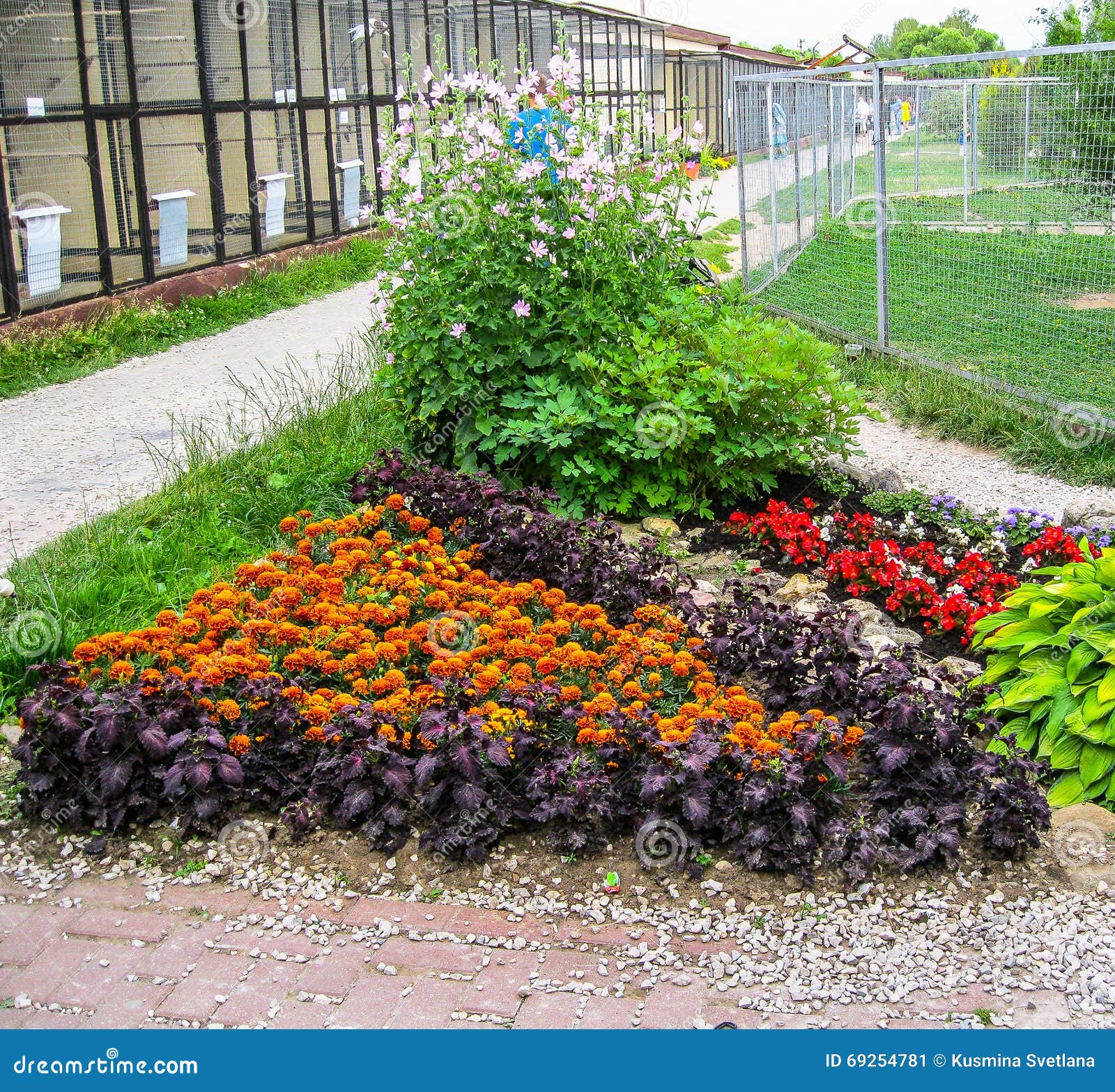 Ein Blumenbeet im Garten stockbild. Bild von schmücken 69254781