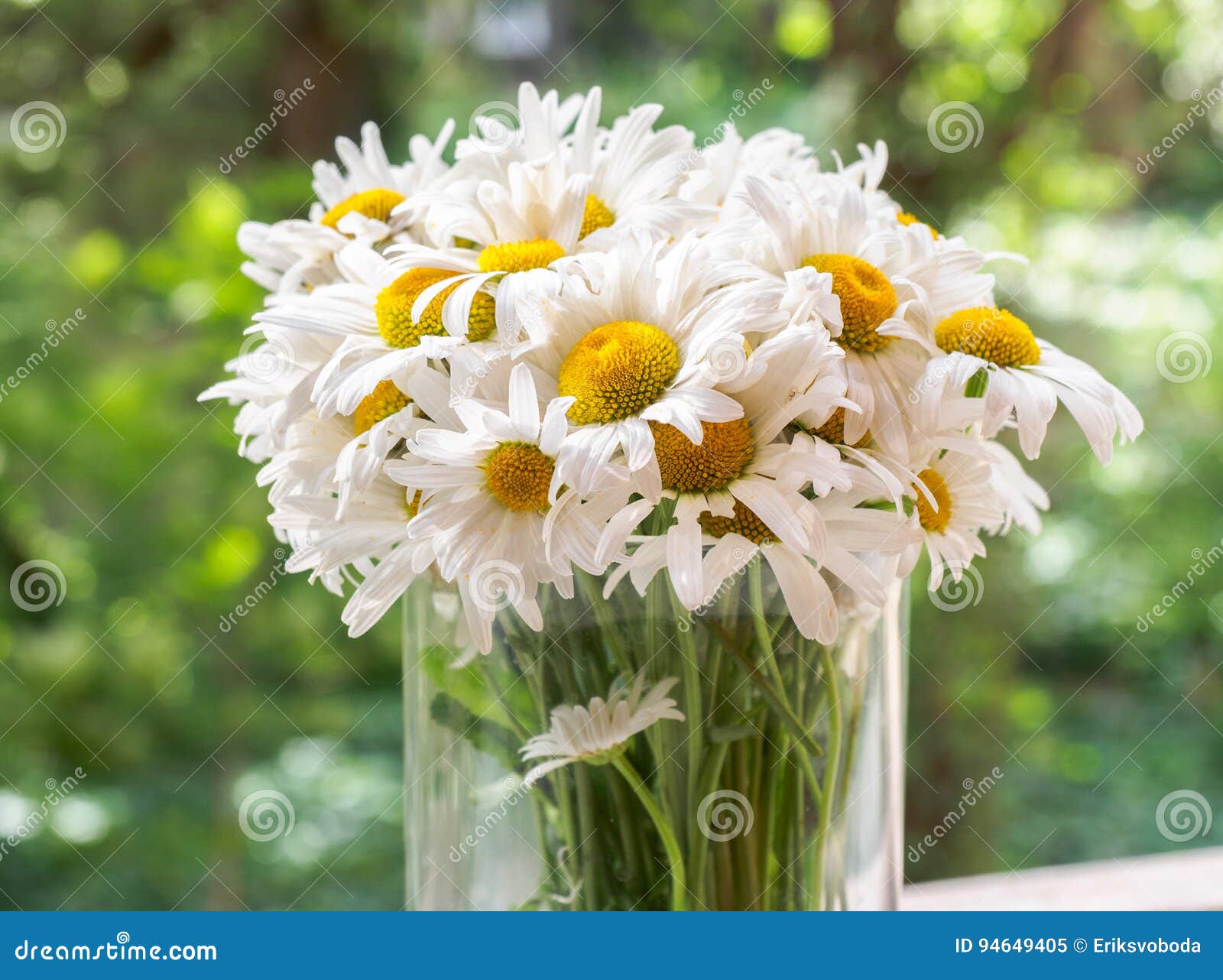 Ein Blumenstrauß von weißen Feldgänseblümchen auf einem Grün verwischte Hintergrund Blumen mit den weißen Blumenblättern und gelber Stempelnahaufnahme fotografierten mit einer Weichzeichnung Bunte vektorabbildung