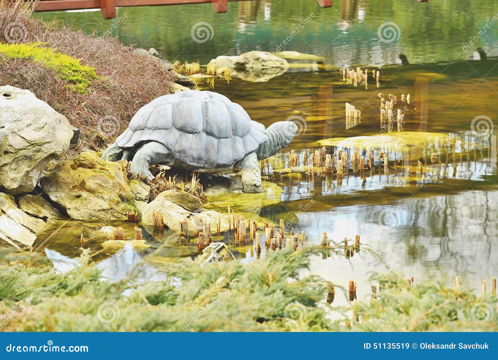 Черепахи в парке галицкого