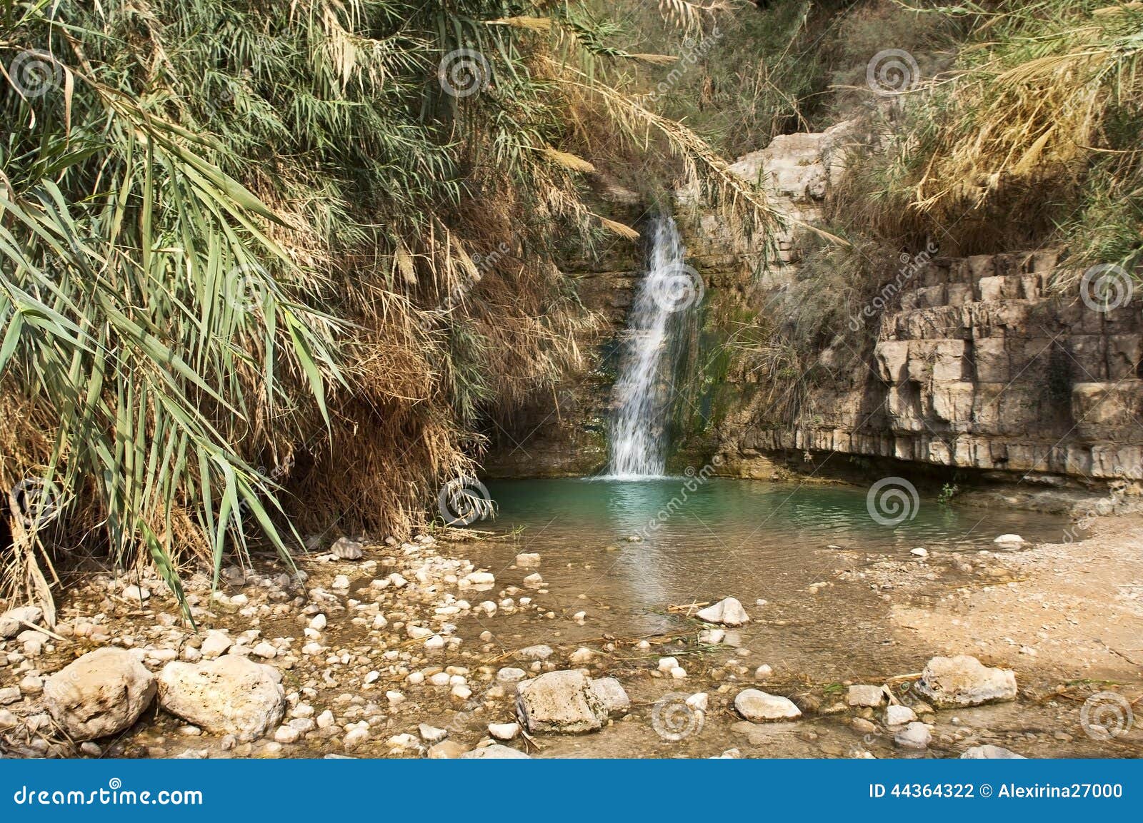 ein gedi creek, dead sea, israel