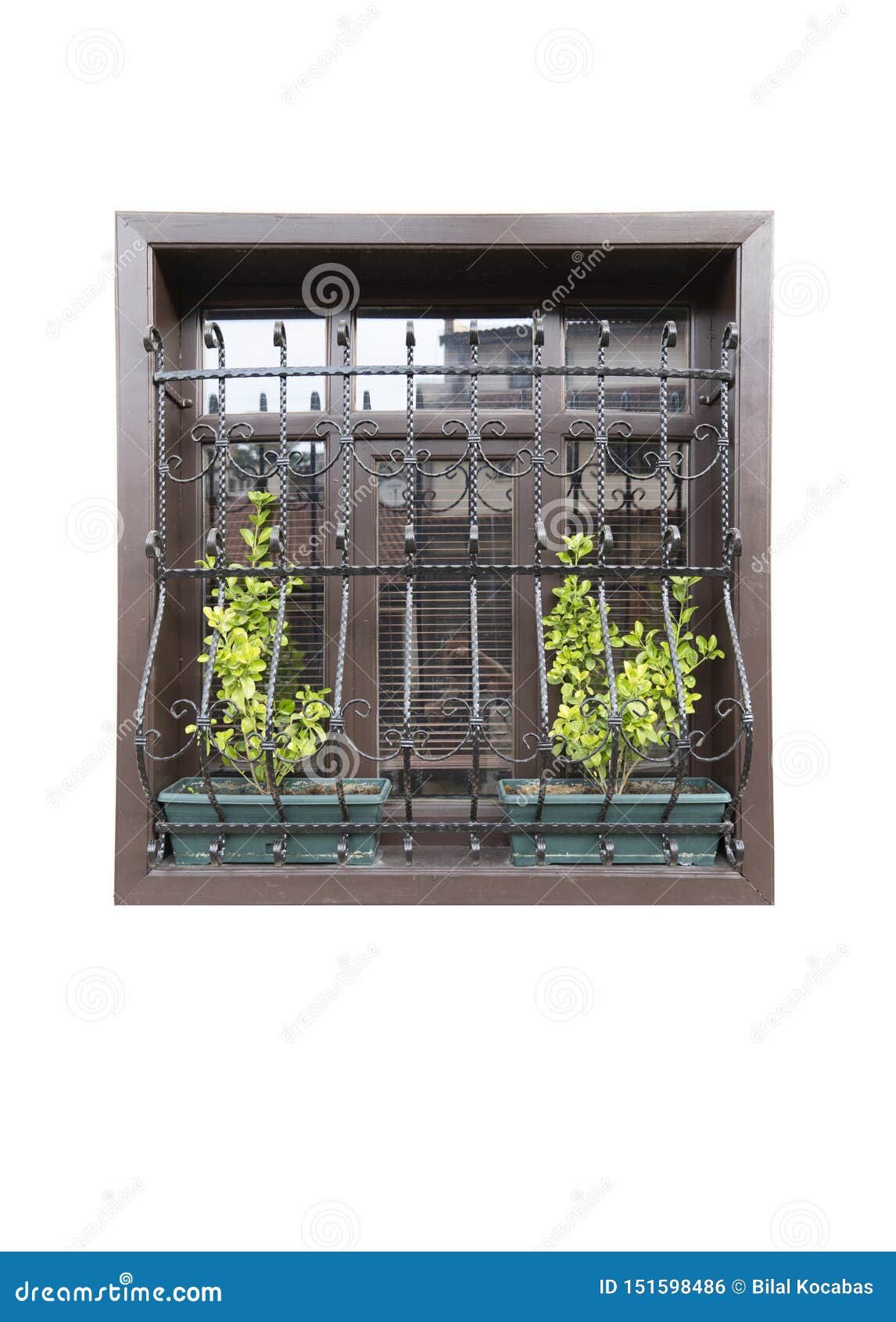 Ein Holzernes Fenster Mit Schonem Eisenschutz Und Gruner Blume In Lokalisiertem Weissem Hintergrund Stockfoto Bild Von Fenster Eisenschutz