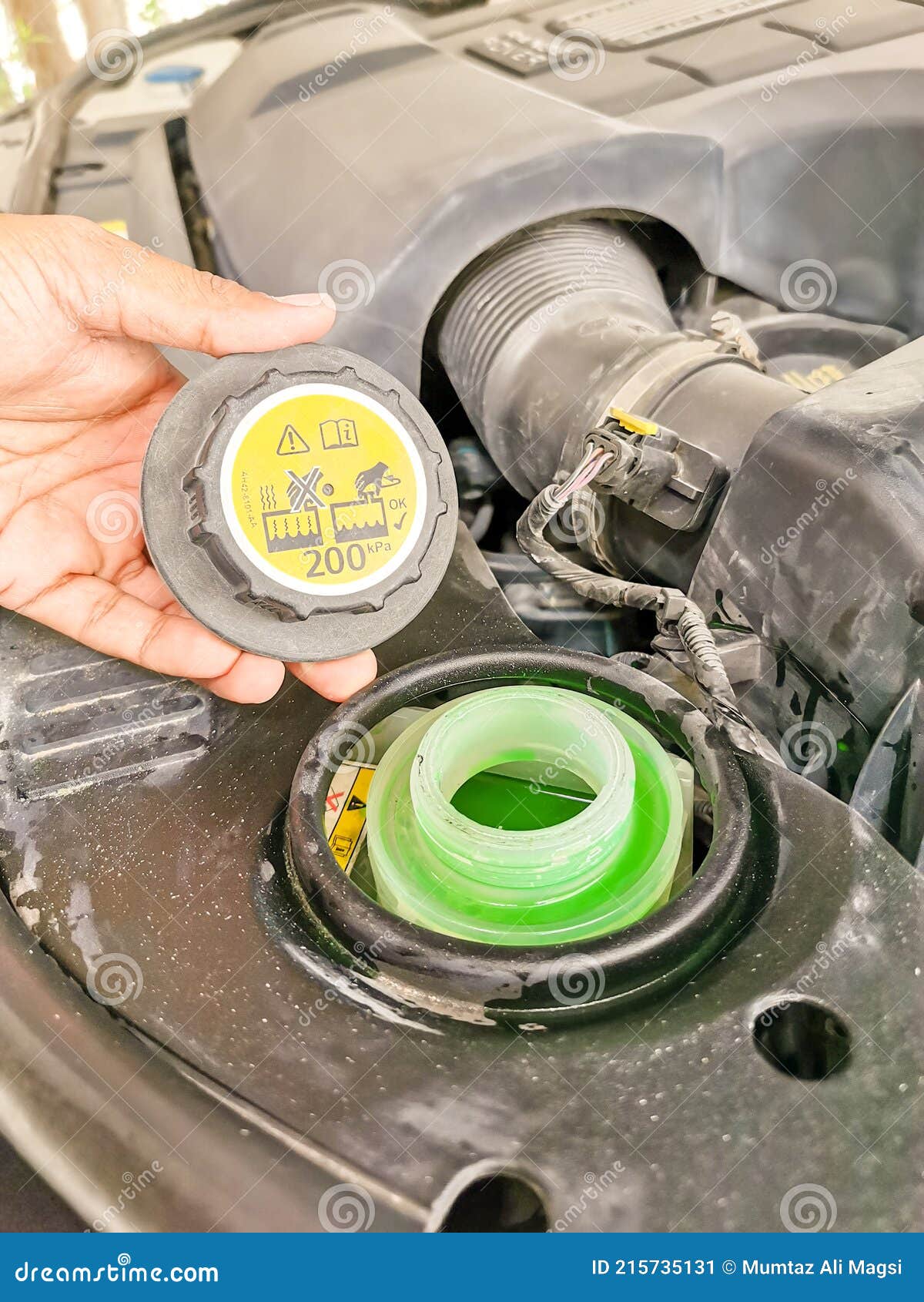 Ein Professioneller Mechaniker überprüft Kühlwasser Stockbild - Bild von  auto, lager: 215735131