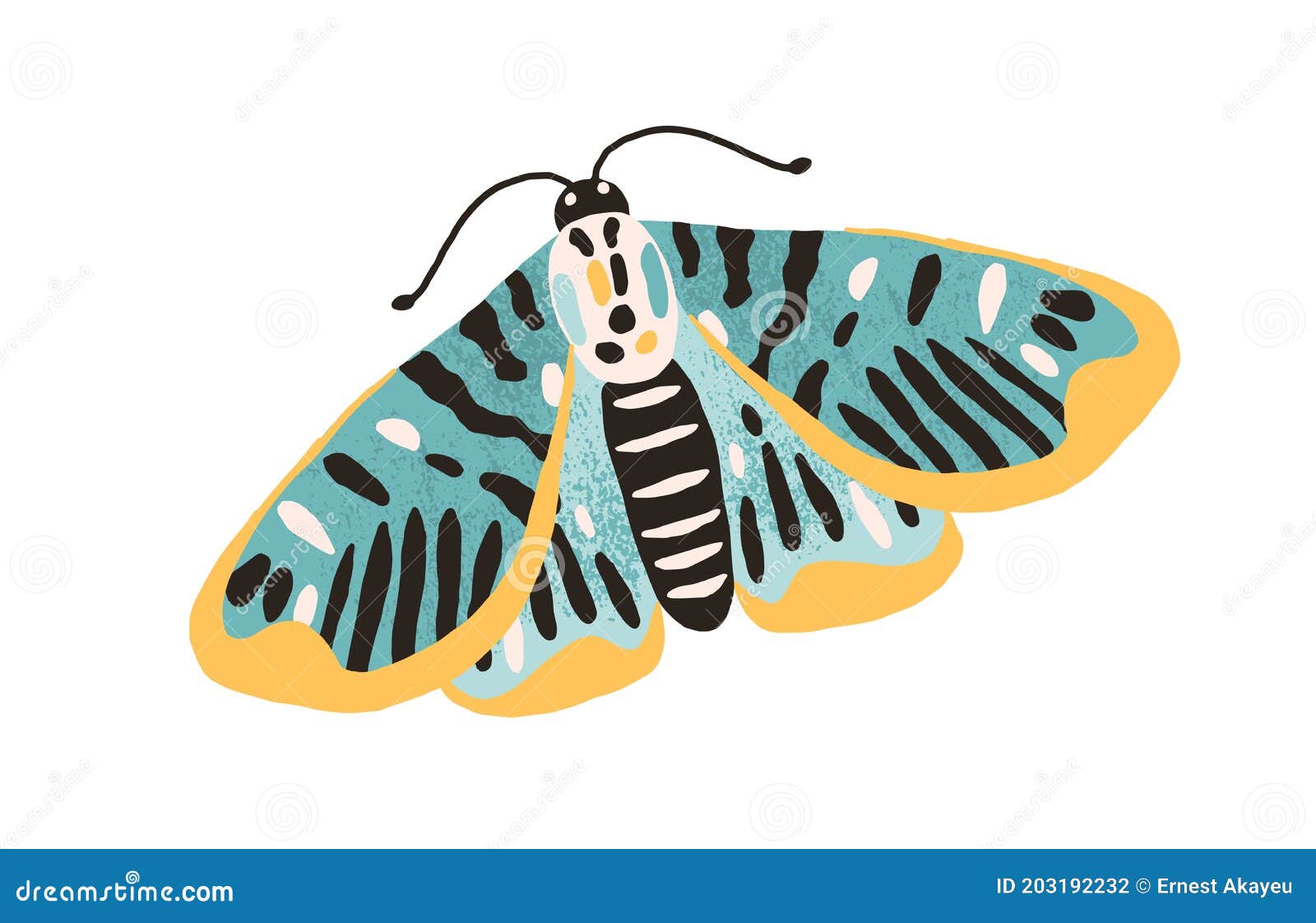 Ein Schöner Gemeinsamer Schmetterling Mit Farbigen Flügeln Und Antennen  Isoliert Auf Weißem Hintergrund. Hübsche Fliegende Falkemo Vektor Abbildung  - Illustration von gezeichnet, attraktiv: 203192232