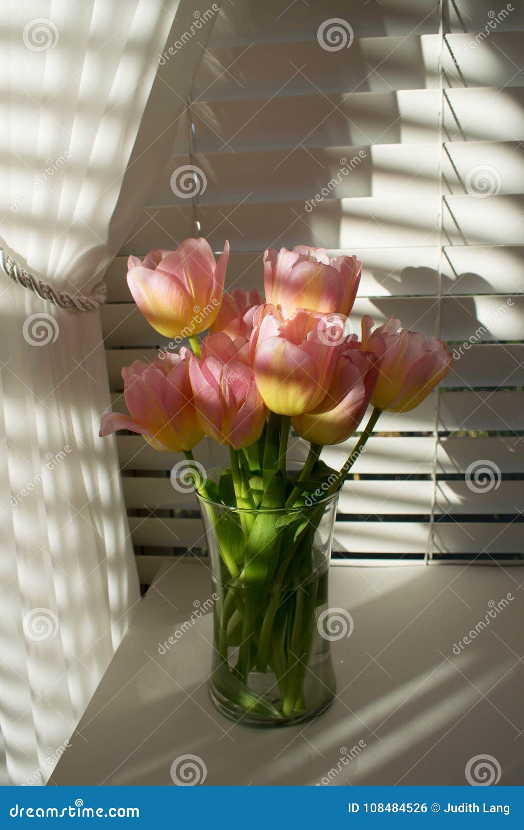 Розы можно ставить с тюльпанами. Тюльпаны на окне. Жалюзи и тюльпаны на окне. Шторы и ваза с тюльпанами. Римские шторы и ваза с тюльпанами.