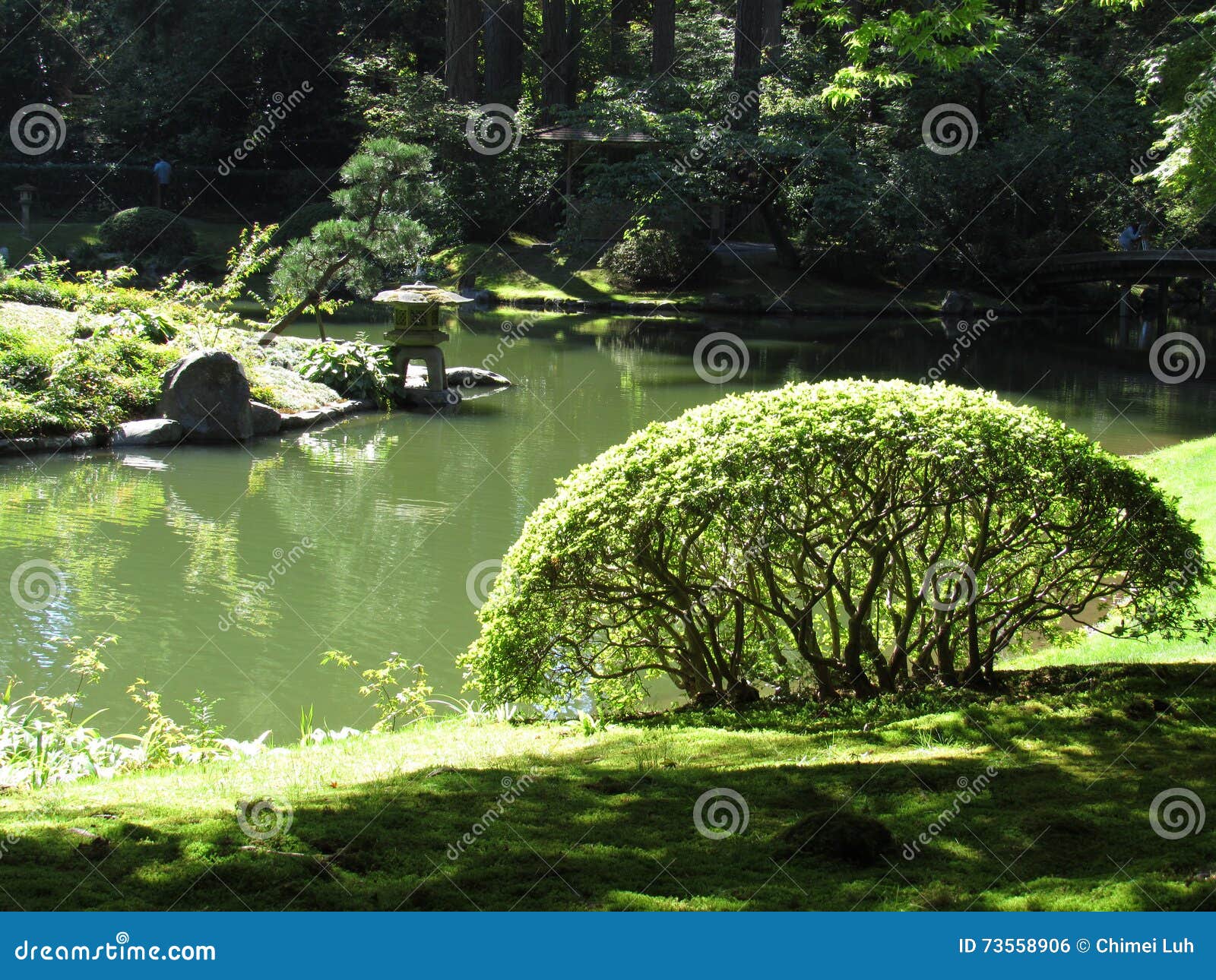 Japanische Ecke Im Garten