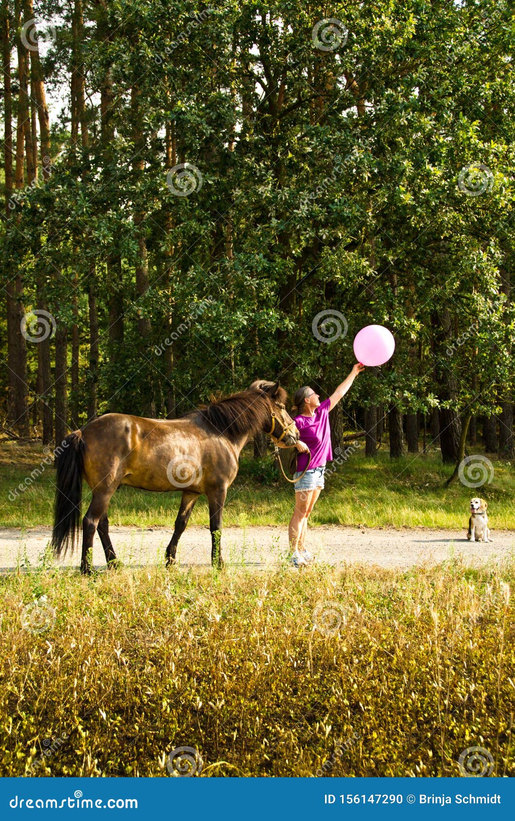 Frau lässt sich vom pferd decken