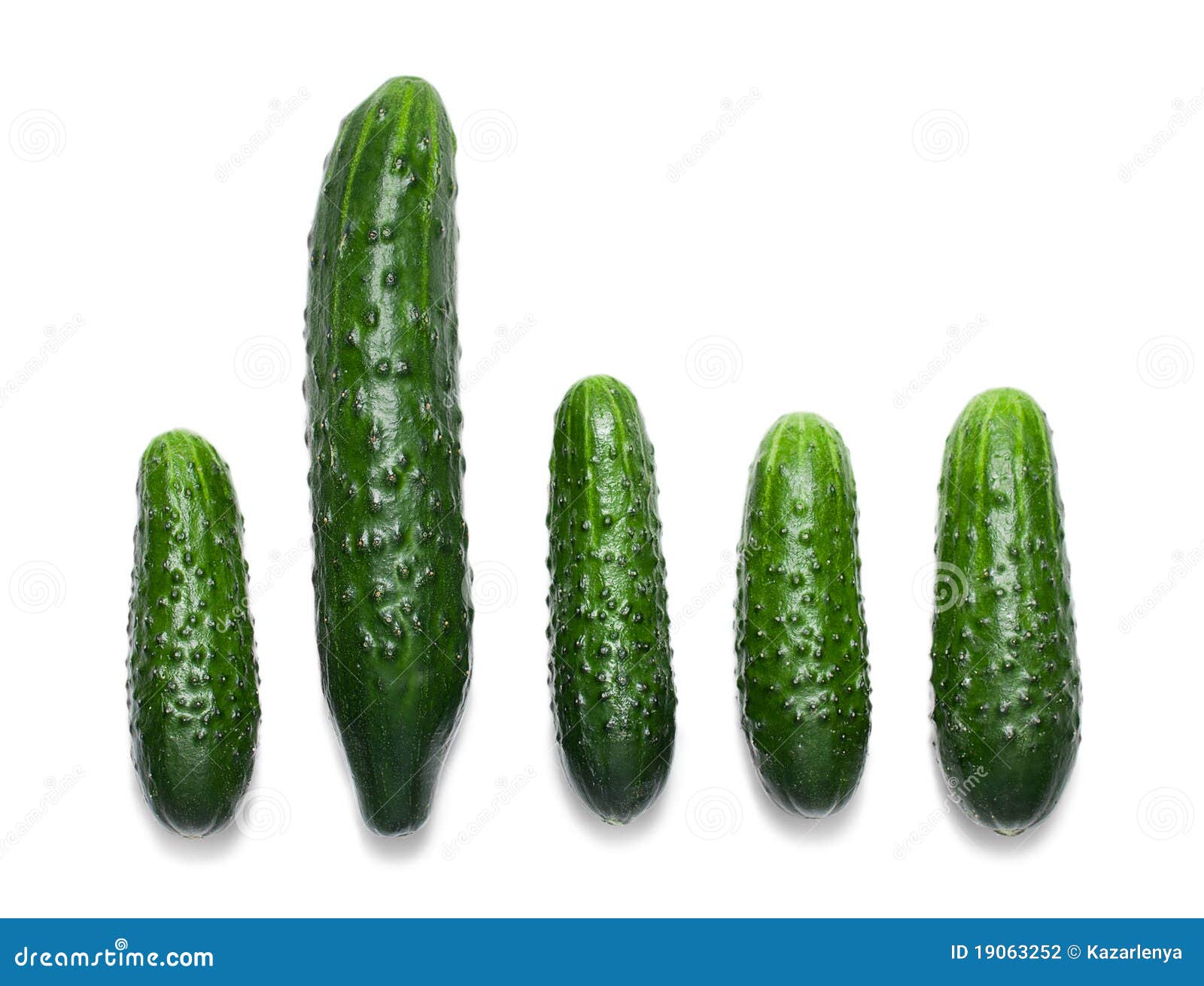 Eine Großen Und Vier Kleinen Gurken Getrennt Stockfoto Bild von reihe