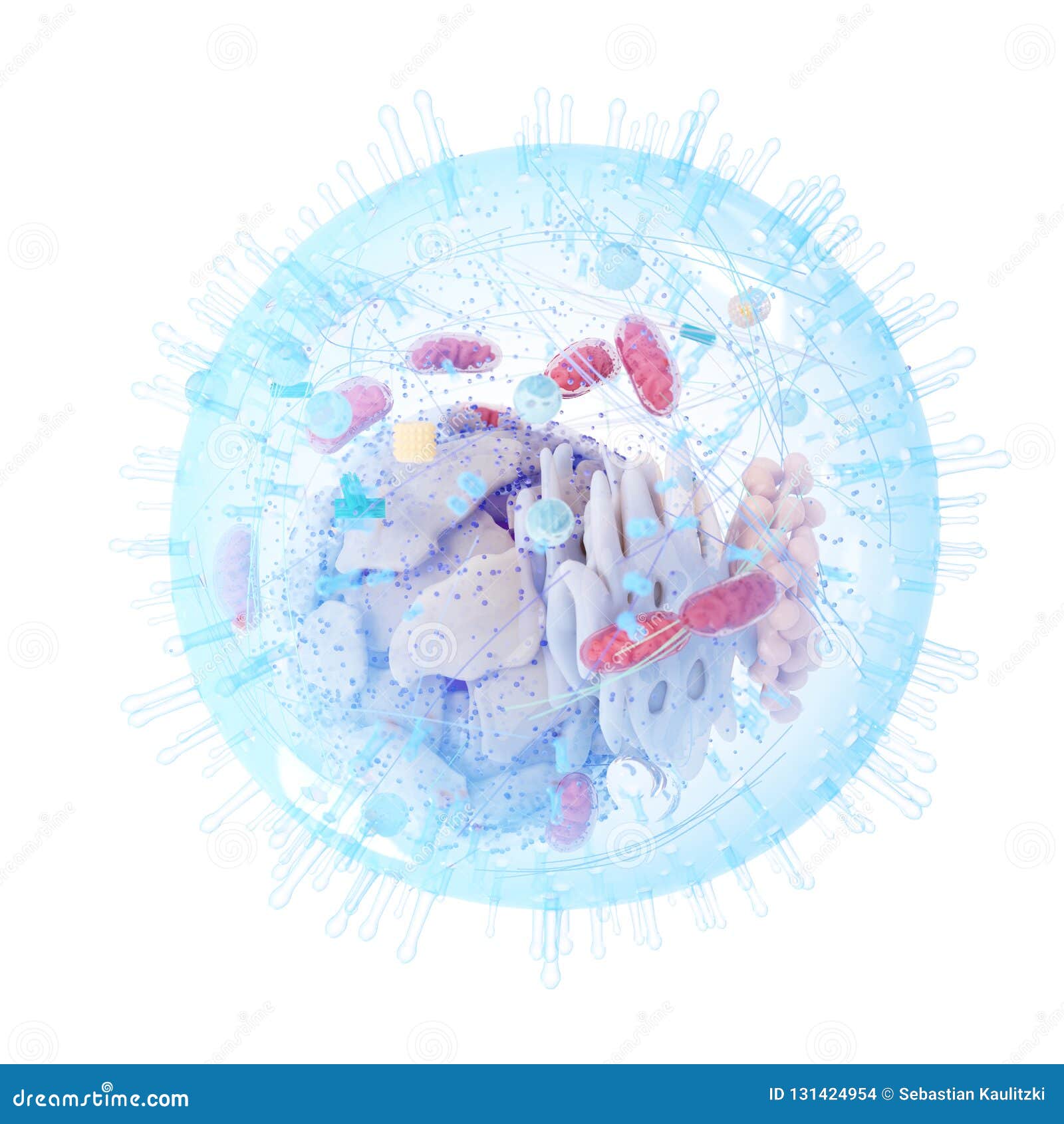 Eine Menschliche Zelle Stock Abbildung Illustration Von Zelle