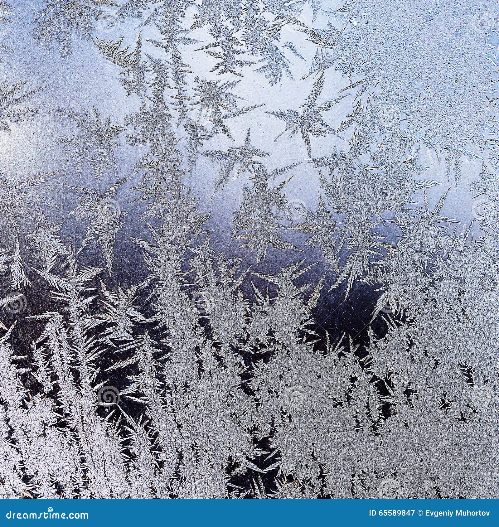 Autokratzer, Glas, Eis, Schnee. (CTK-Foto/Marketa Hofmanova Stockfotografie  - Alamy