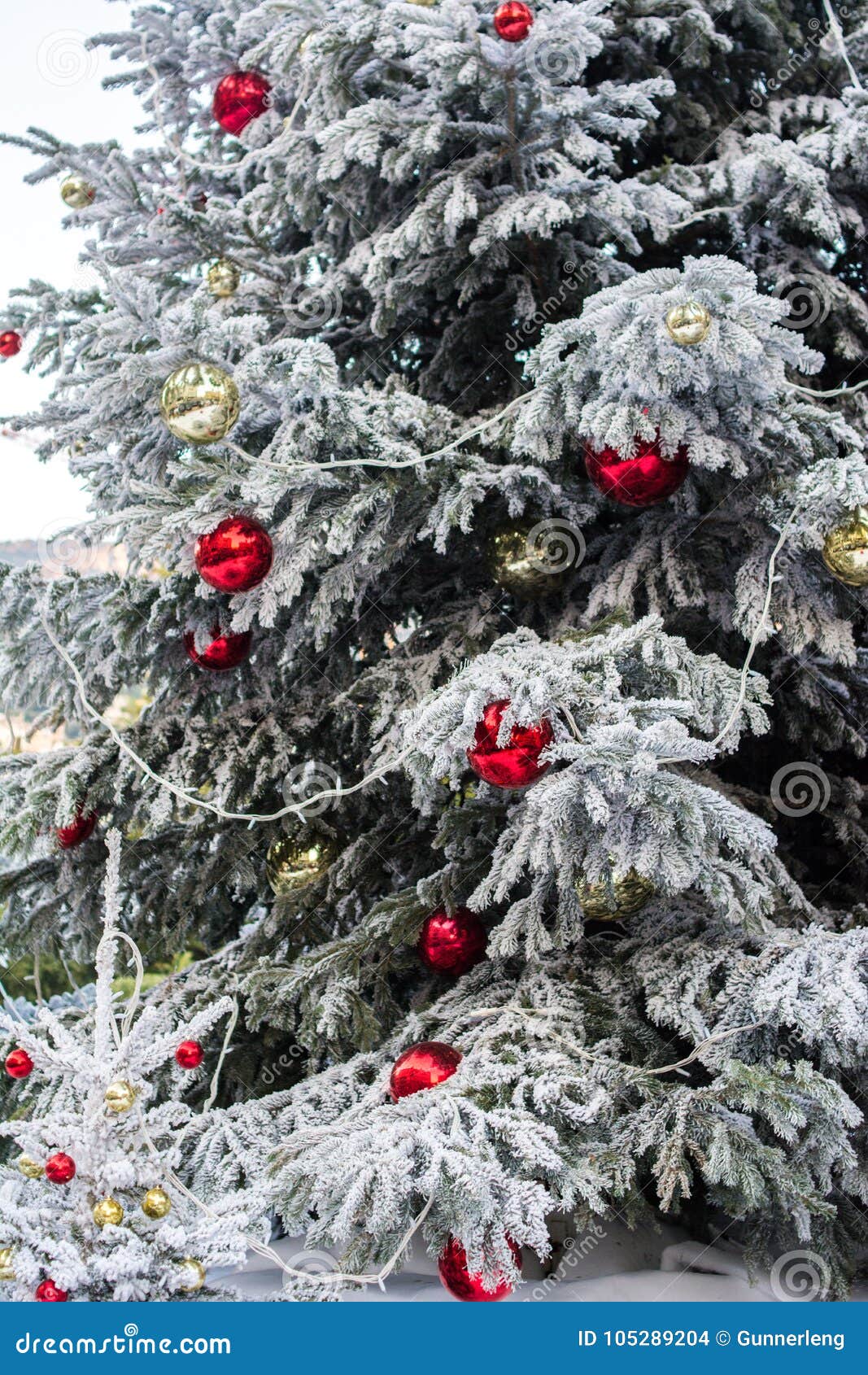 Ejecución De La Bola Del Rojo Y Del Oro En El árbol De Navidad Con Nieve En  Invierno Foto de archivo - Imagen de hielo, ornamento: 105289204