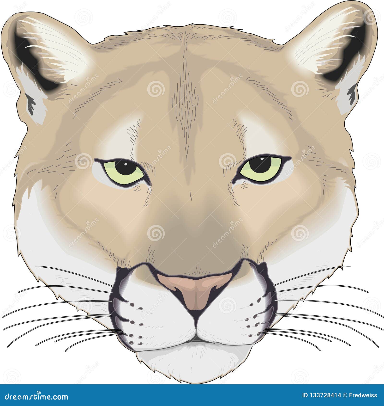 Ejemplo La Cara Del Puma Ilustración del Vector - de animales, felino: 133728414