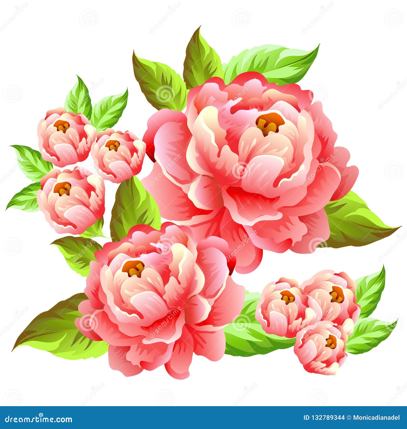 Ejemplo De La Flor De Camelia Ilustración del Vector - Ilustración de rosa,  elegancia: 132789344