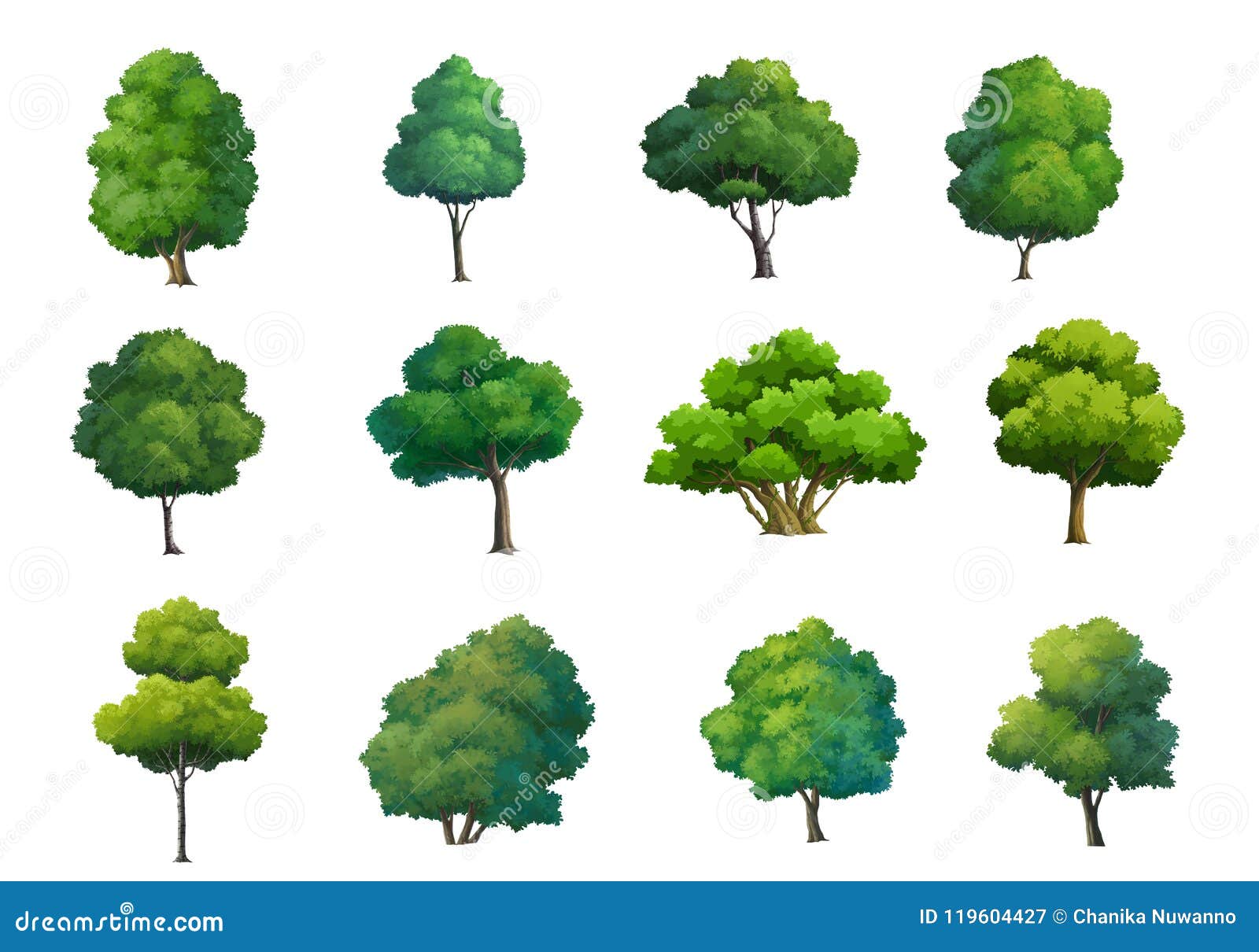 Ejemplo De Los árboles Aislados En El Fondo Blanco Stock de ilustración -  Ilustración de ambiente, cuadro: 119604427