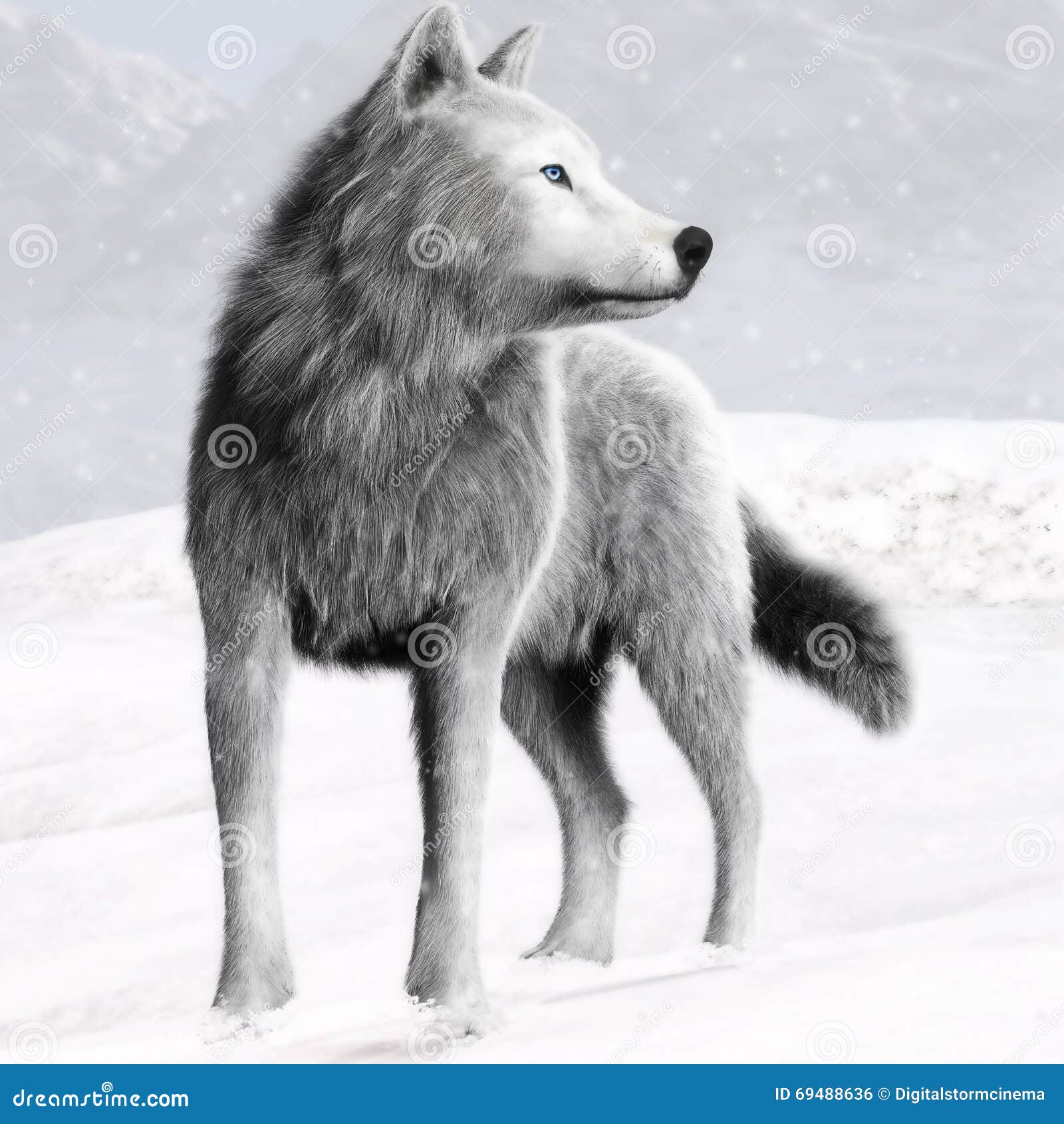 Ejemplo De Un Lobo Salvaje Blanco Con Los Ojos Azules Y El Fondo Del Invierno Stock de ilustración Ilustración de deslumbrar, nieve: 69488636