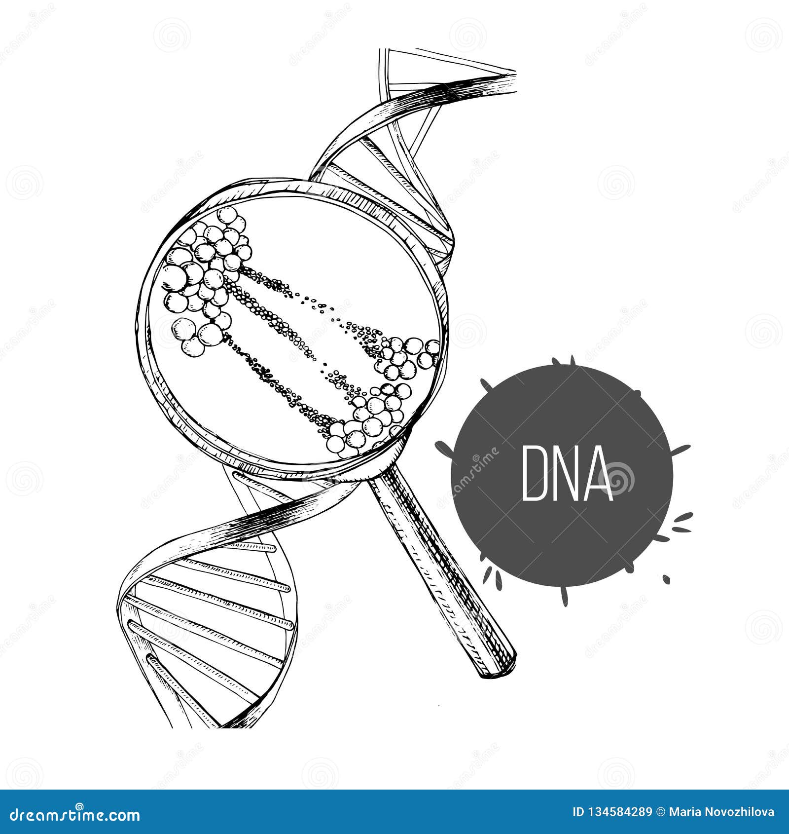 Ejemplo Del Bosquejo Exhausto De La Mano La Estructura De La DNA Debajo De La Lupa Ingeniería Genética De Dibujo Ilustración del Vector - Ilustración de investiga, drenaje: 134584289 Ejemplo Del Bosquejo Exhausto De La Mano La Estructura De La DNA Debajo De La Lupa Ingeniería Genética De Dibujo Ilustración del Vector - Ilustración de investiga, drenaje: 134584289