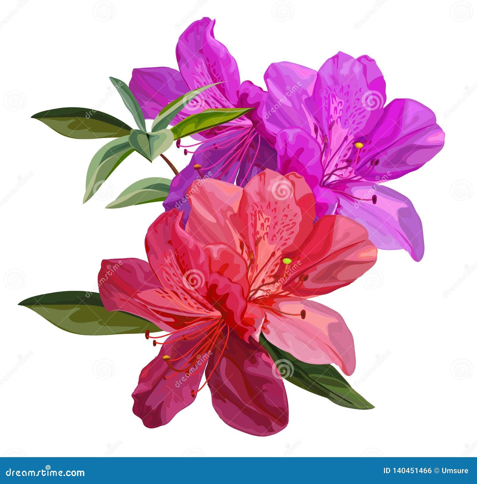 Ejemplo Del Vector De La Flor De La Azalea Ilustración del Vector -  Ilustración de rosa, follaje: 140451466