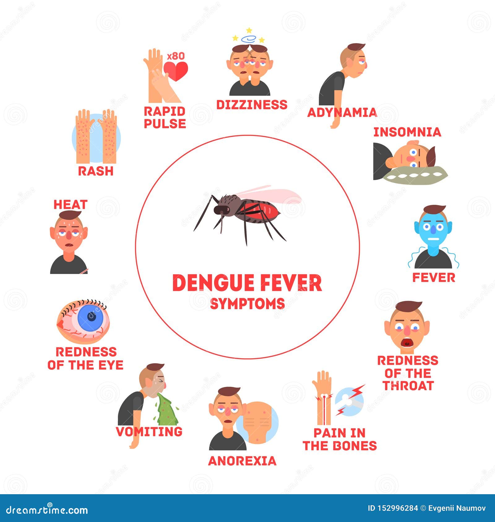 Dengue Ilustraciones Stock, Vectores, Y Clipart – (4,621 Ilustraciones  Stock)