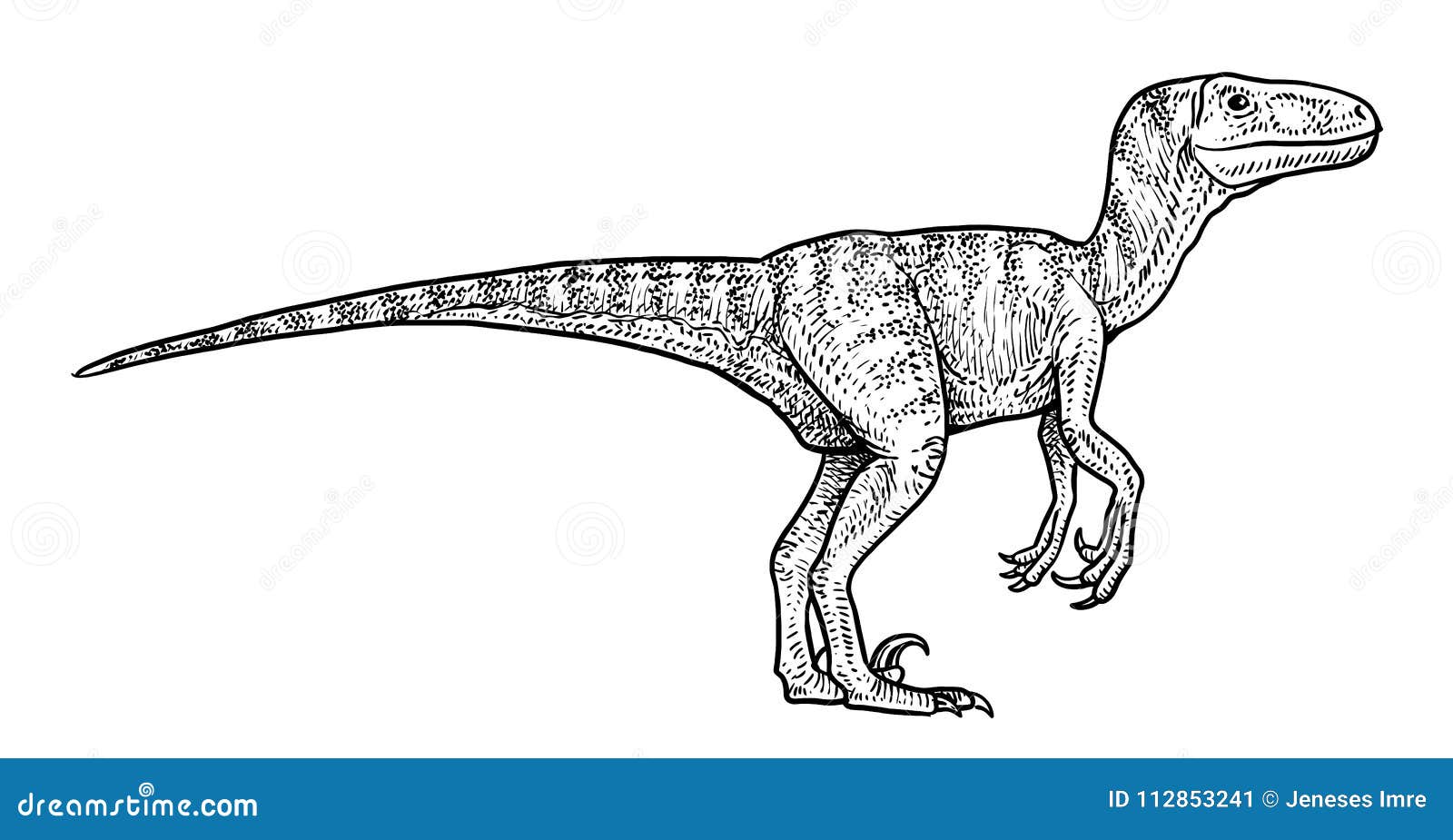 Ejemplo Del Velociraptor, Dibujo, Grabado, Tinta, Línea Arte, Vector  Ilustración del Vector - Ilustración de grabe, retro: 112853241