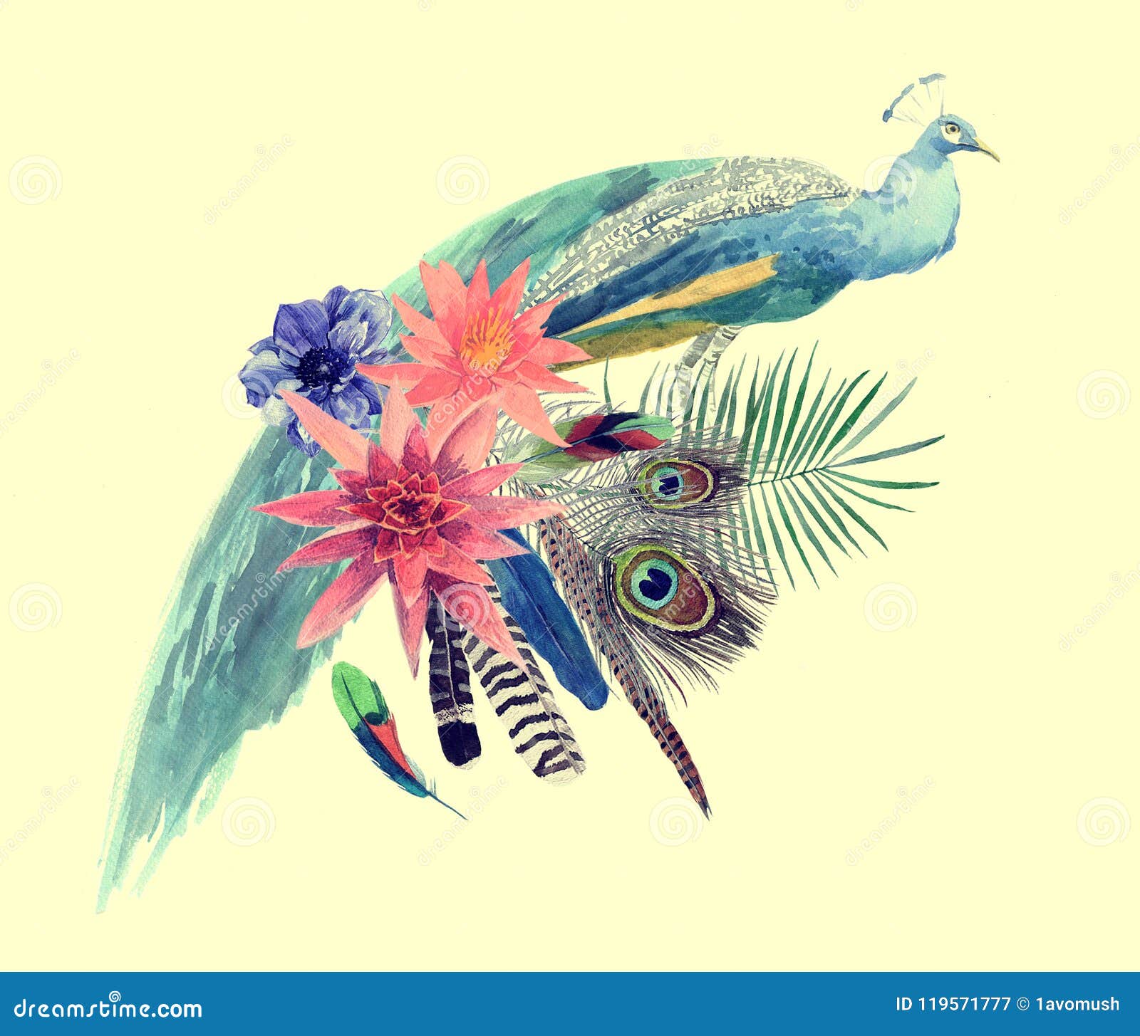 Ejemplo Dibujado Hnd De La Acuarela Del Pavo Real Con Las Hojas, Flores, Plumas Stock de ilustración - Ilustración de arte, objeto: 119571777 Ejemplo Dibujado Hnd De La Acuarela Del Pavo Real Con Las Hojas, Flores, Plumas Stock de ilustración - Ilustración de arte, objeto: 119571777