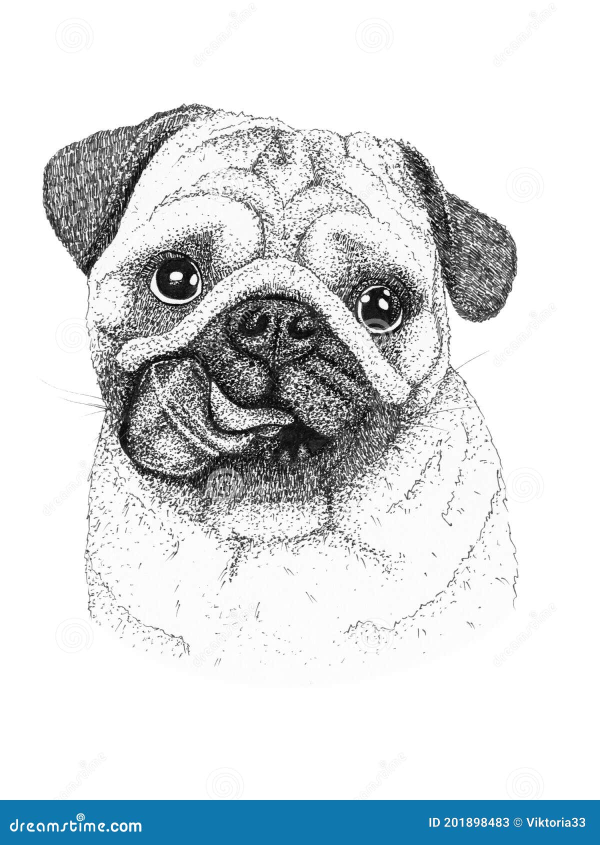 Ilustración Dibujada a Mano En La Cabeza Del Perro. Dibujo En Blanco Y Negro De Tinta Aislado Stock de ilustración - Ilustración de imagen, piel: 201898483 Ilustración Dibujada a Mano En La Cabeza Del Perro. Dibujo En Blanco Y Negro De Tinta Aislado Stock de ilustración - Ilustración de imagen, piel: 201898483