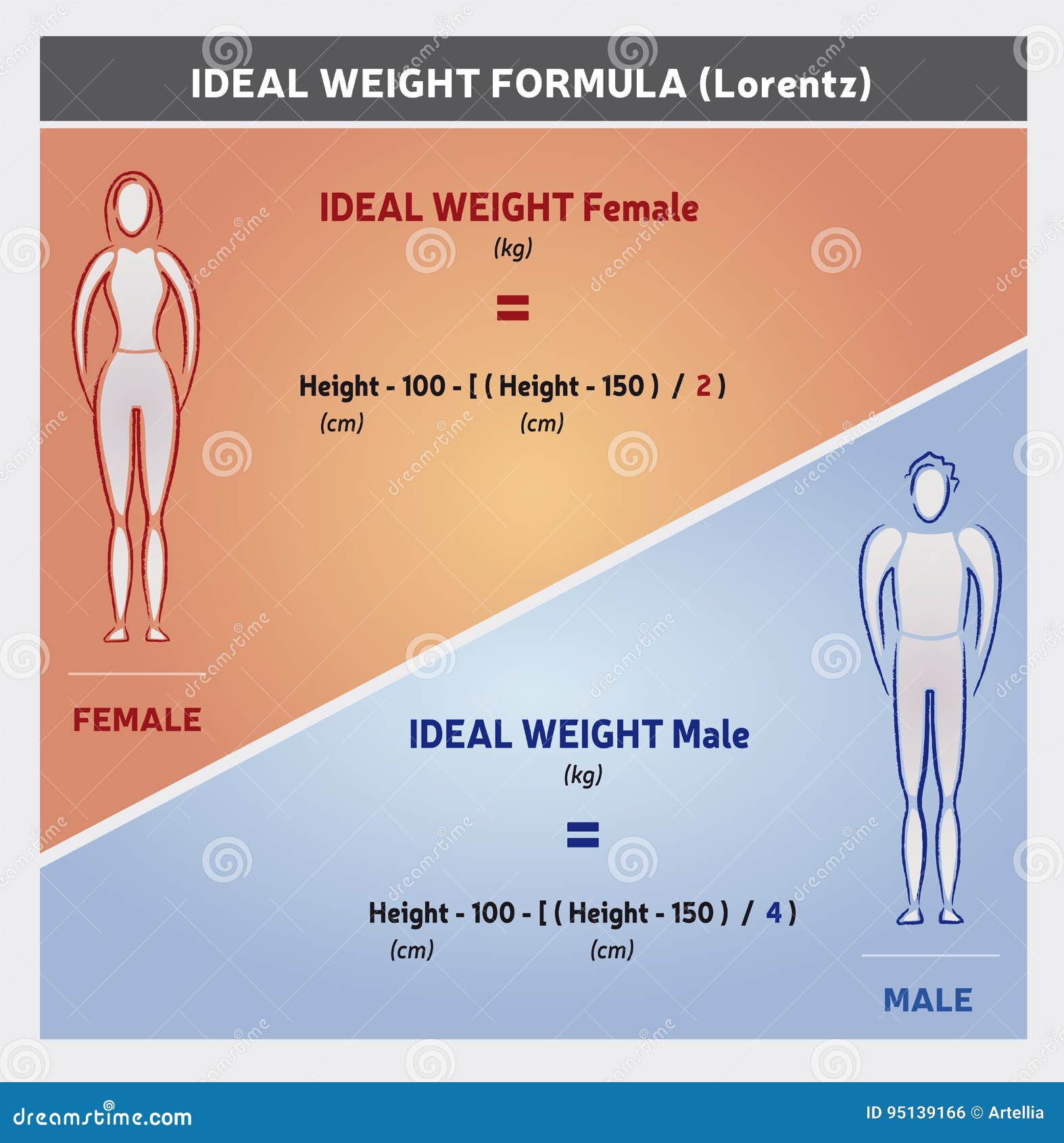 Ejemplo Ideal De La F rmula Del Peso Con Las Siluetas Femeninas Y ejemplo-ideal-de-la-f-rmula-del-peso-con-las-siluetas-femeninas-y