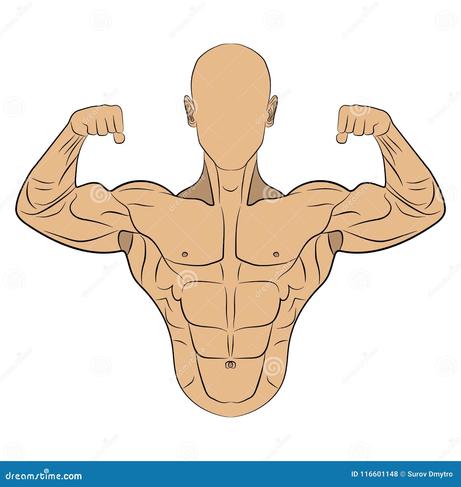 Ejemplo Inflado Del Dibujo Del Hombre Del Músculo Del Cuerpo Stock de  ilustración - Ilustración de deportista, potencia: 116601148
