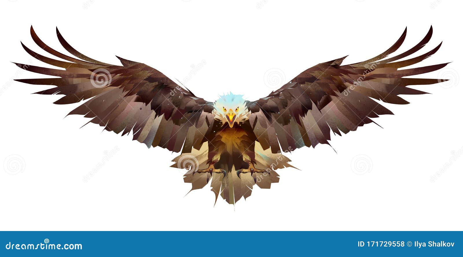 El águila Brillante Pintada Sobre Un Fondo Blanco Aletea Sus Alas Foto de  archivo - Imagen de pluma, motorista: 171729558