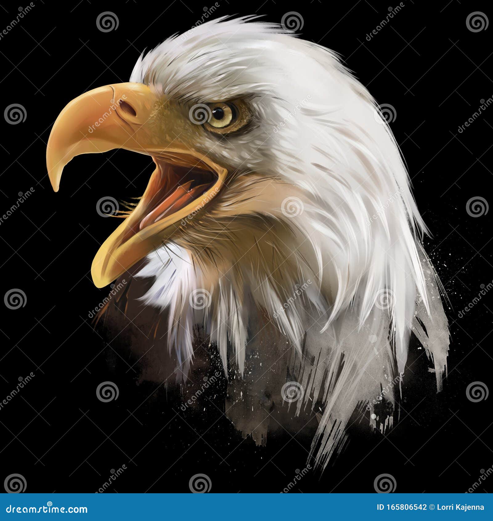 El águila Calva Estadounidense, Cabeza Dibujo De Color De Agua Stock de  ilustración - Ilustración de digital, pista: 165806542