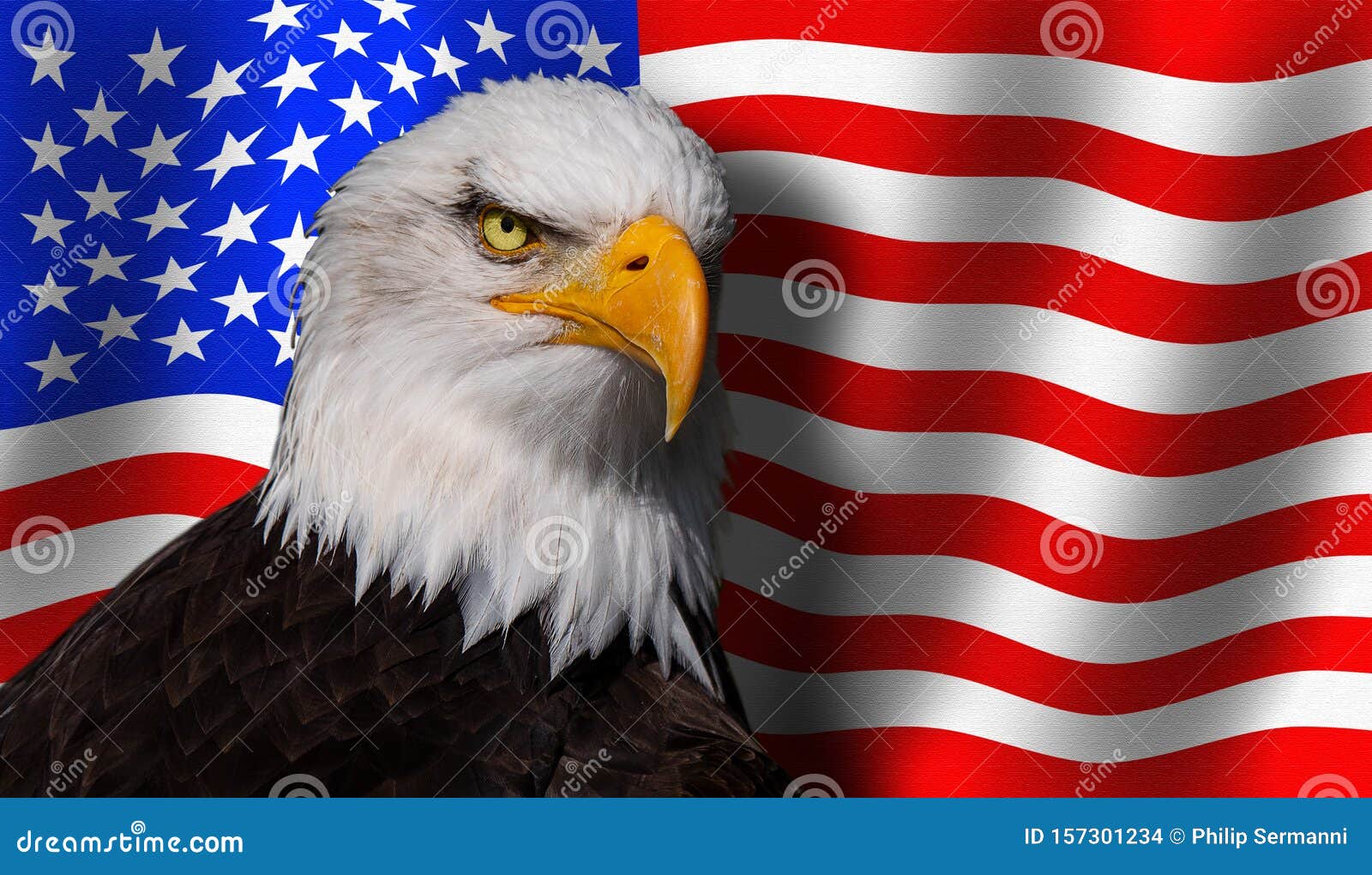 El Ã¡guila Calva Frente a La Bandera De Estados Unidos Stock de ilustración  - Ilustración de patriota, pico: 157301234