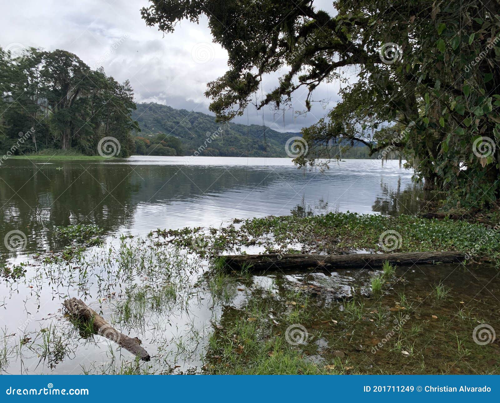 la frescura del agua