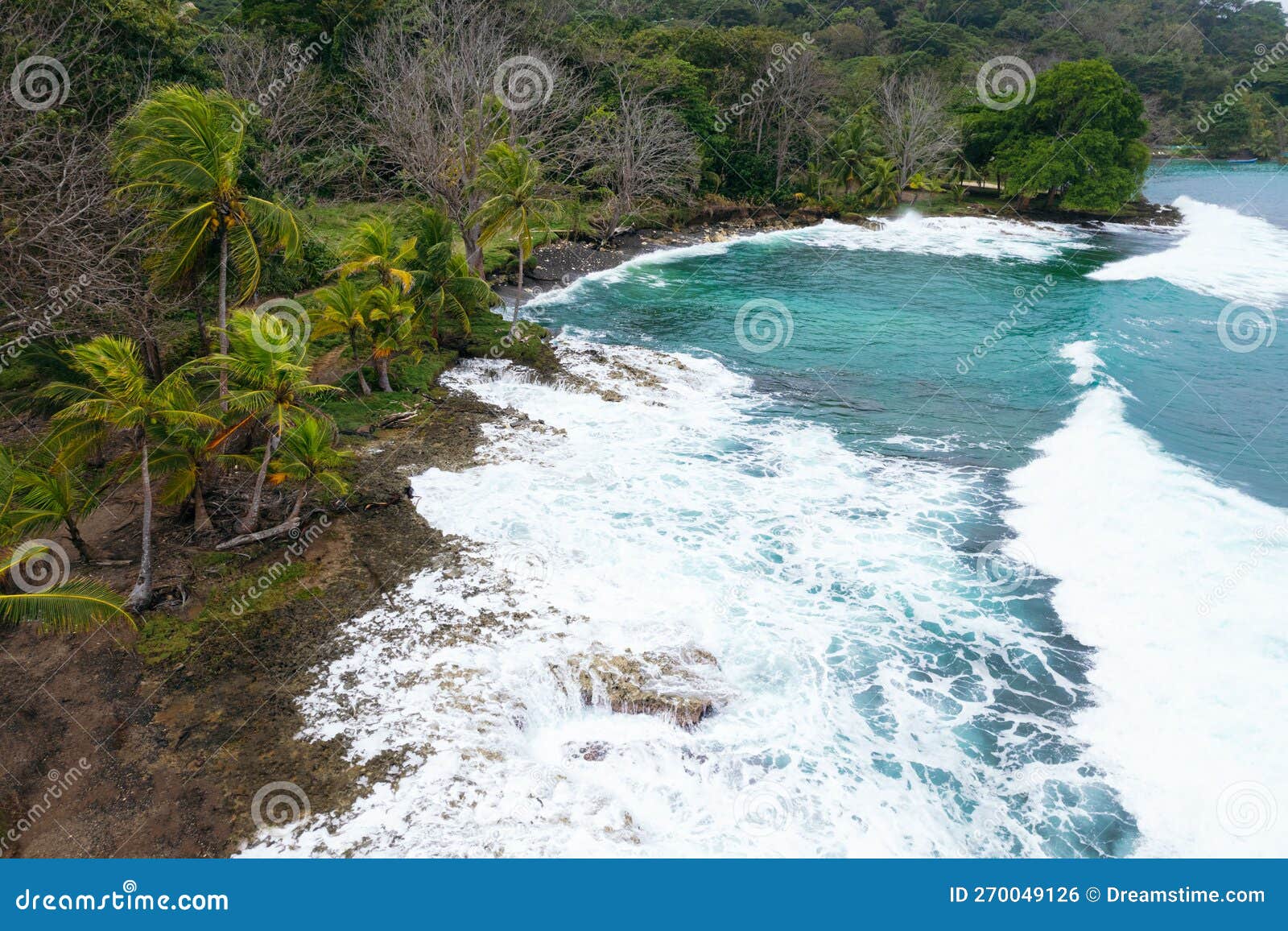 el aguacate beach with blue sea and trees in capurgana, colombia