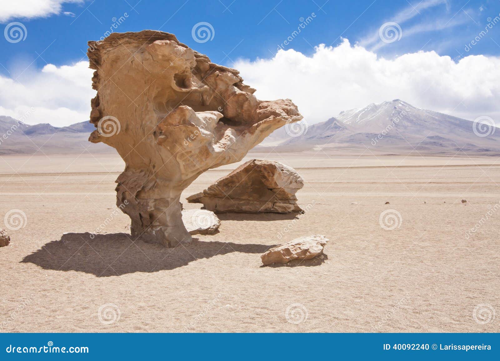 el arbol de piedra