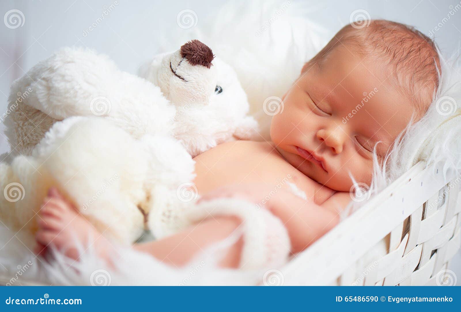 El Bebé Recién Nacido Lindo Duerme Con El Oso De Peluche Del Juguete Foto  de archivo - Imagen de inocencia, suave: 65486590