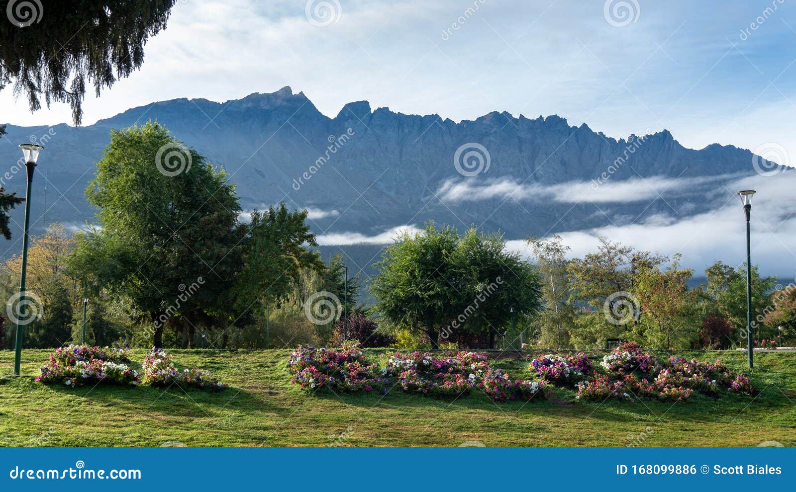 el bolson spelled out in flowers