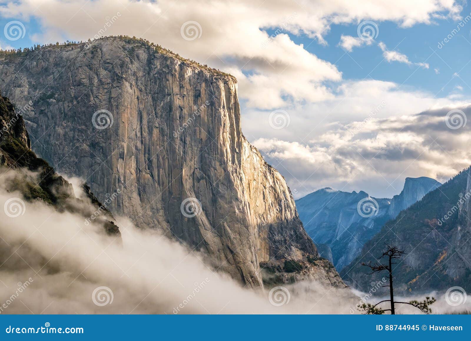 el capitan rock in yosemite national park