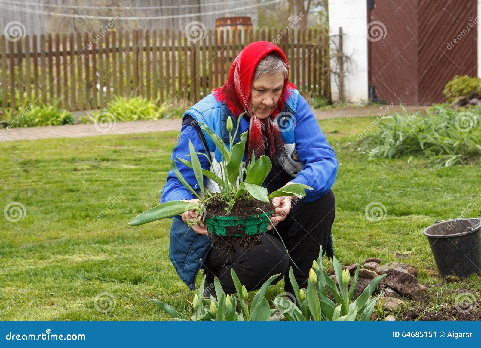 el-cultivar-un-huerto-de-la-se%C3%B1ora-mayor-64685151.jpg