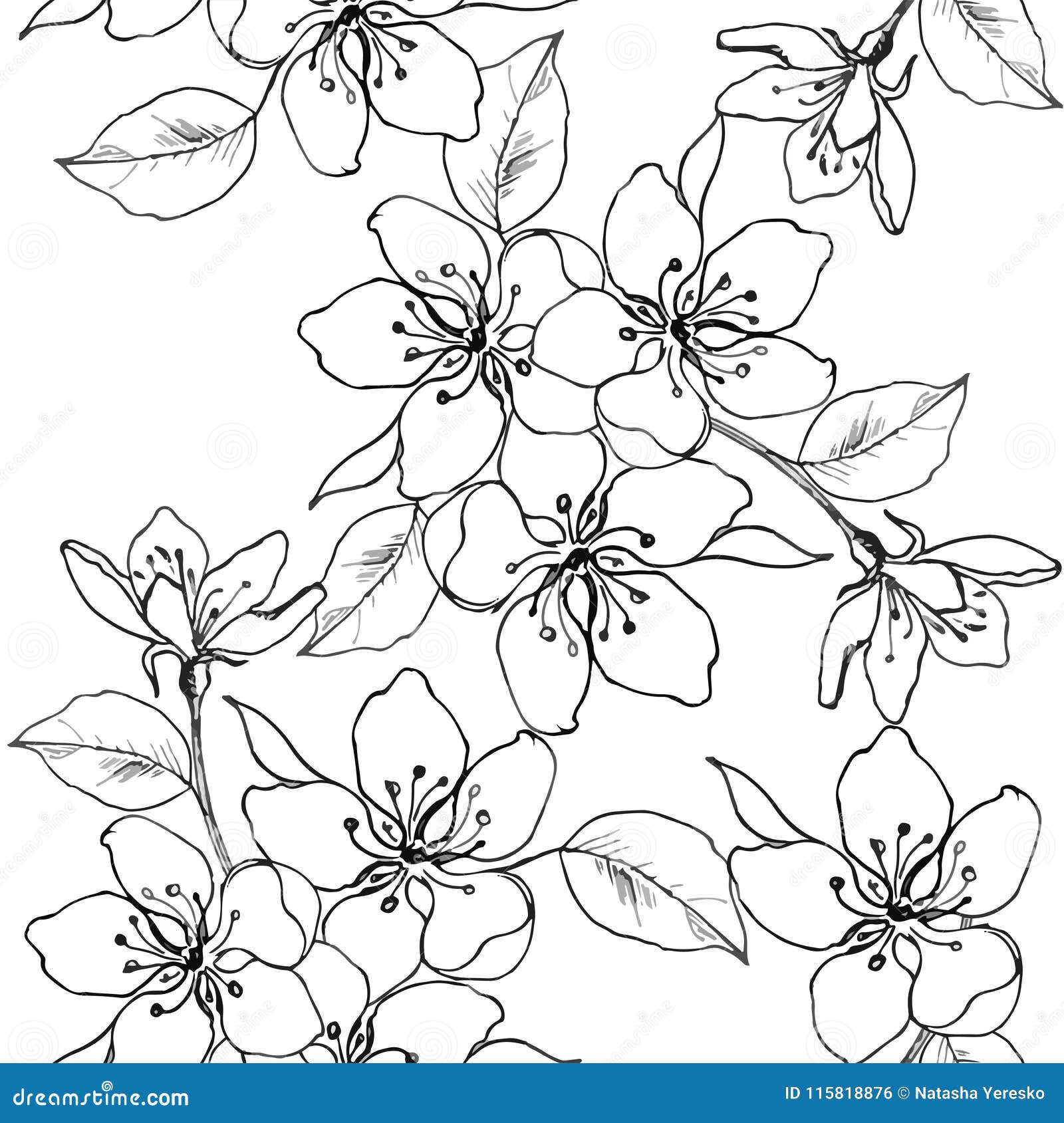 El Dibujo Da Una Rama De La Flor De Cerezo, Pera, Manzana Modelo Inconsútil Del Vector De Las Flores De La Primavera Contexto Dec Ilustración del Vector - Ilustración de brote, pera: El Dibujo Da Una Rama De La Flor De Cerezo, Pera, Manzana Modelo Inconsútil Del Vector De Las Flores De La Primavera Contexto Dec Ilustración del Vector - Ilustración de brote, pera: