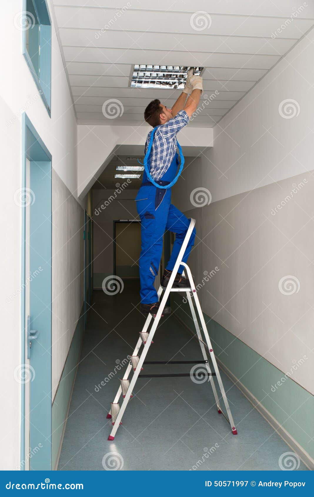 El retrato integral del electricista en la escalera de mano instala la iluminación al techo en oficina