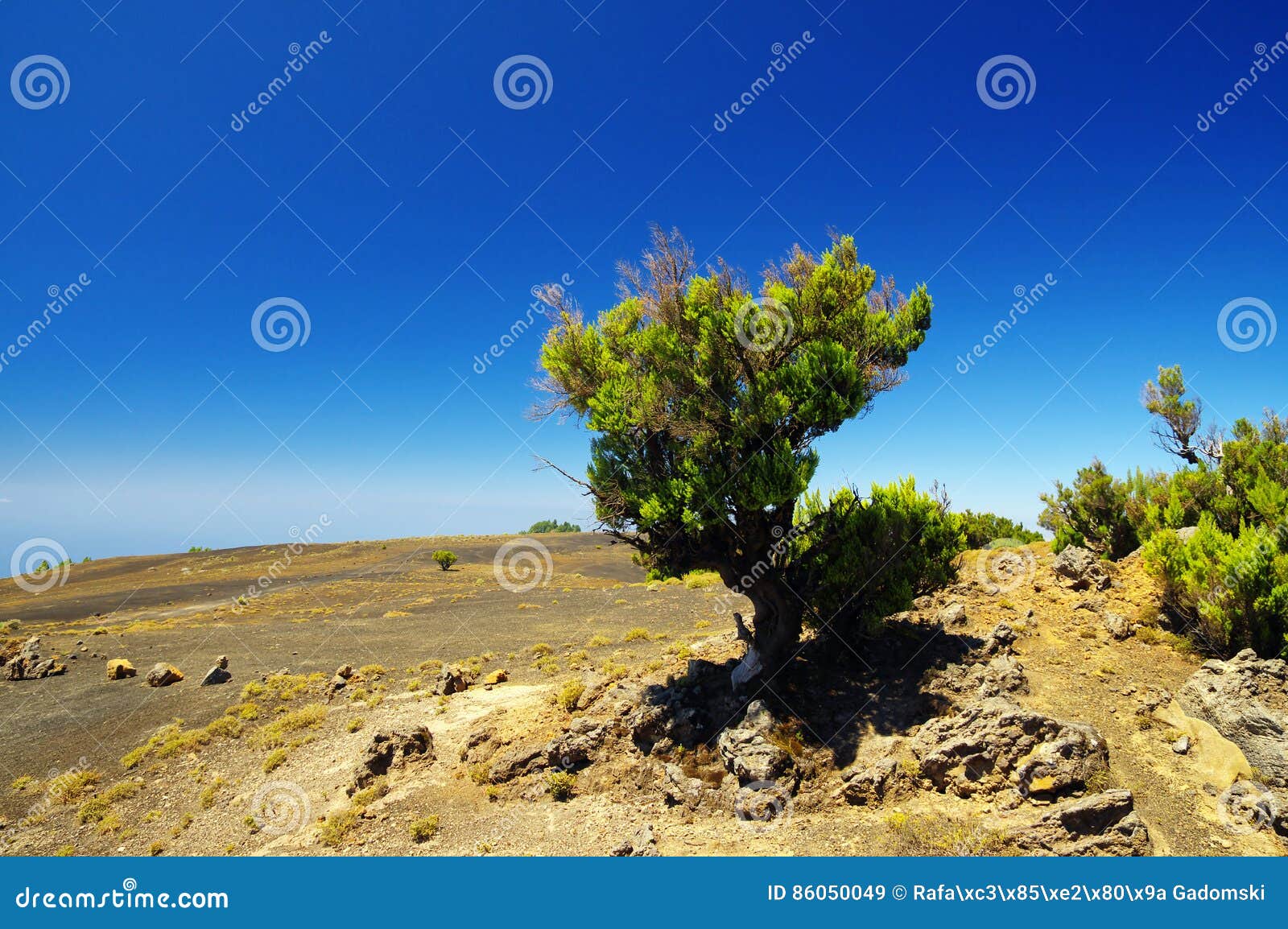 el hierro - view from malpaso mountain