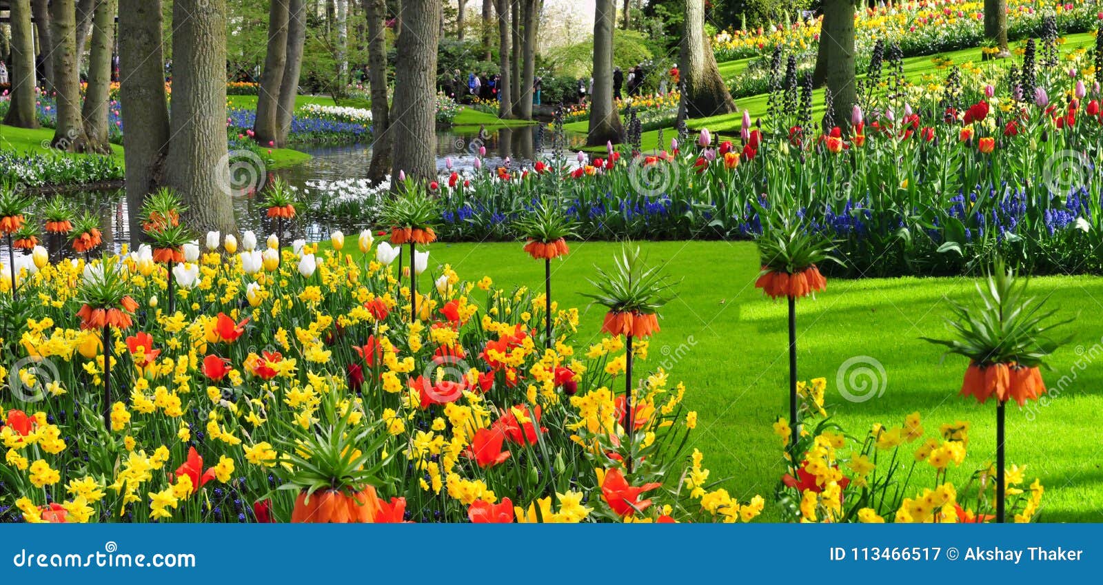 El Jardin De Keukenhof Conocido Como El Jardin De Europa Es Uno De Los Jardines De Flores Mas Grandes Del S Del Mundo Situado Imagen De Archivo Imagen De Mundo