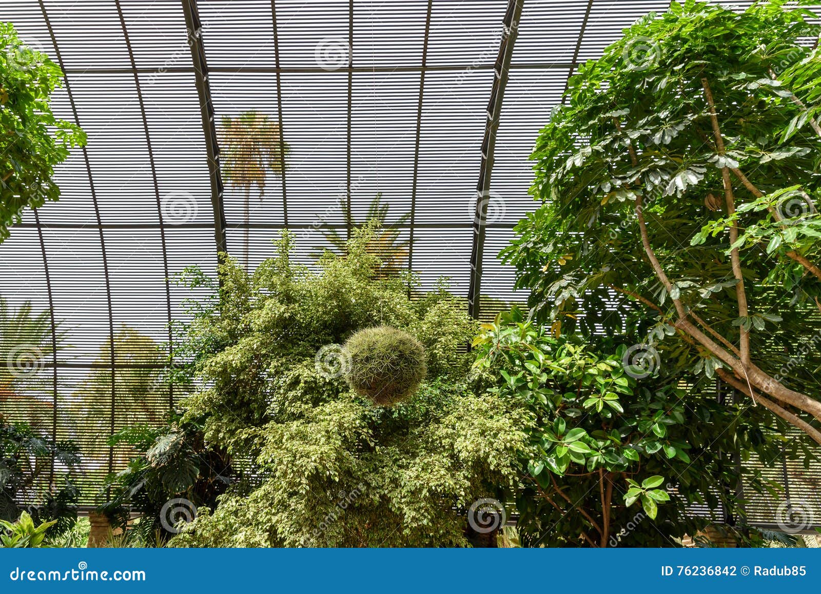 El Jardín Botánico De La Universidad De Valencia Fotografía editorial