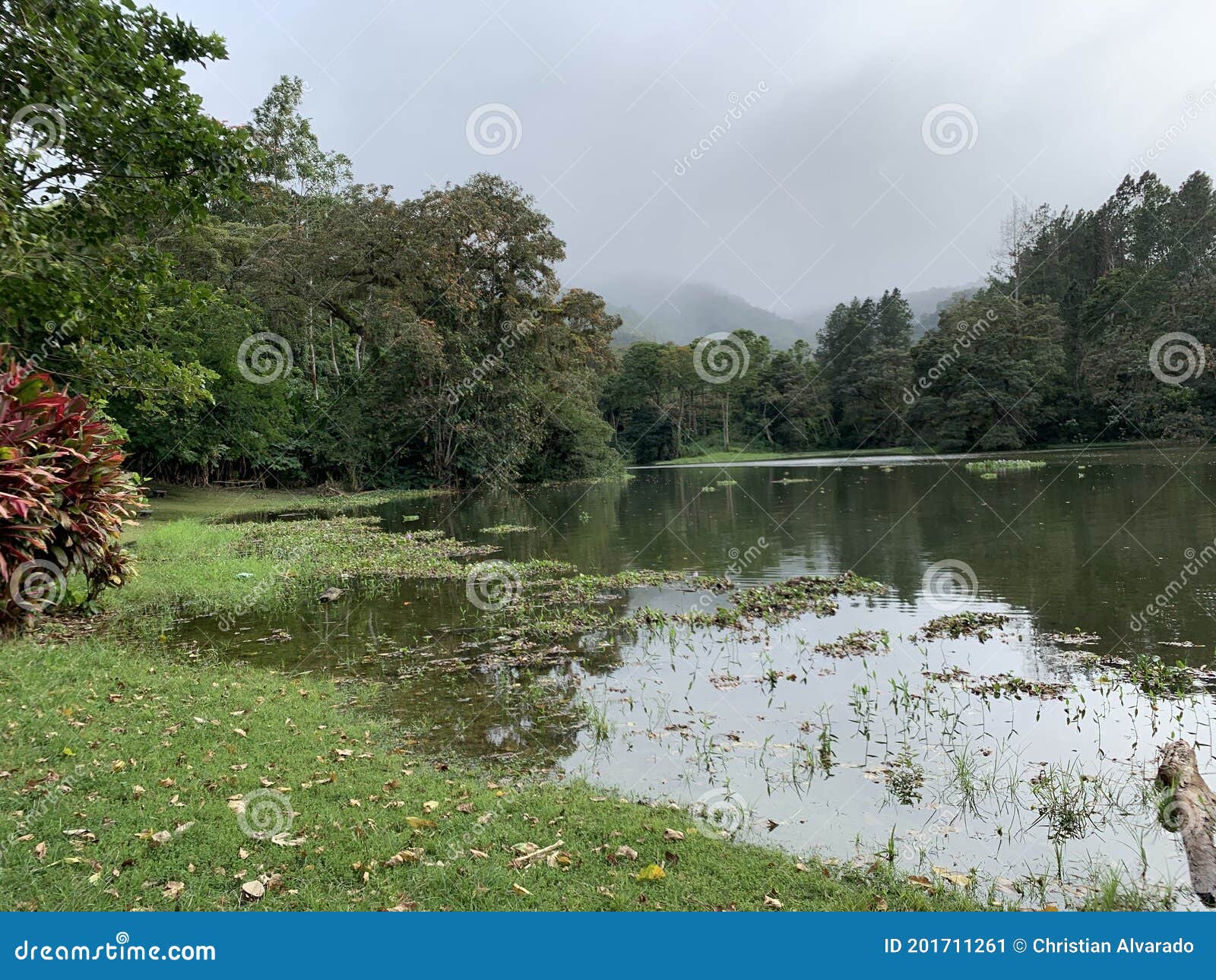 el lago antes de la lluvia