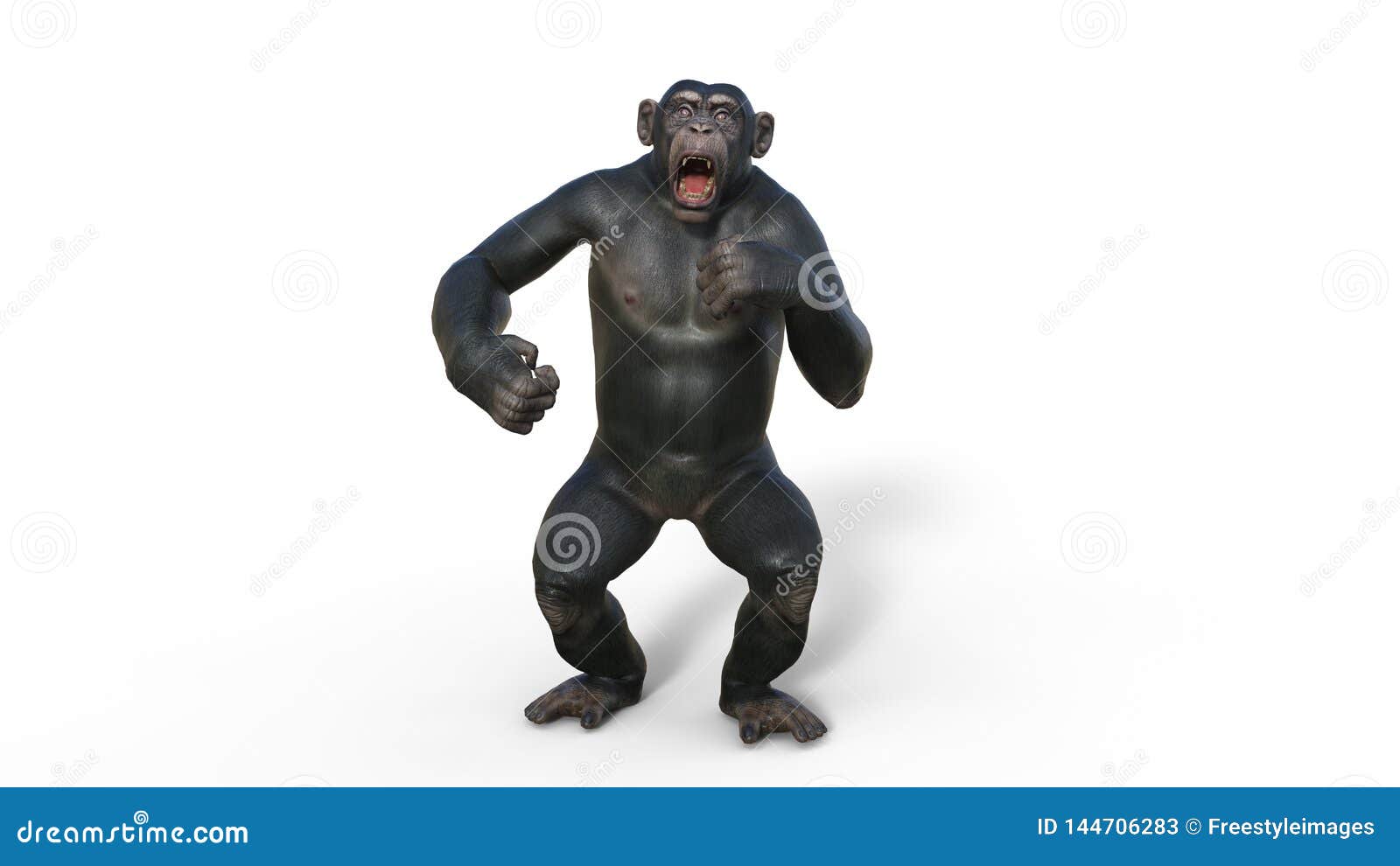 El Mono Del Chimpancé, Mono Que Chilla, Animal Salvaje Del Primate Aislado En El Fondo Blanco, 3D Rinde Stock de ilustración - Ilustración de mono, melenudo: 144706283 El Mono Del Chimpancé, Mono Que Chilla, Animal Salvaje Del Primate Aislado En El Fondo Blanco, 3D Rinde Stock de ilustración - Ilustración de mono, melenudo: 144706283