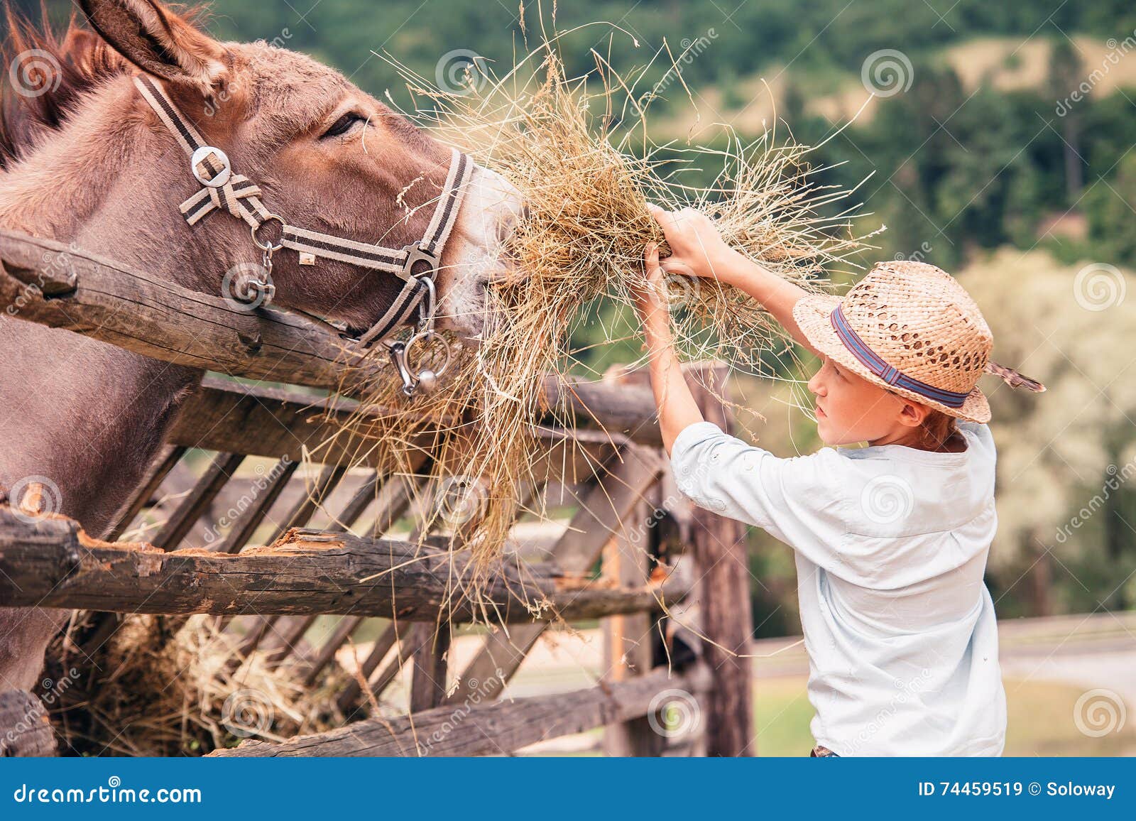 El Burro de La Granja