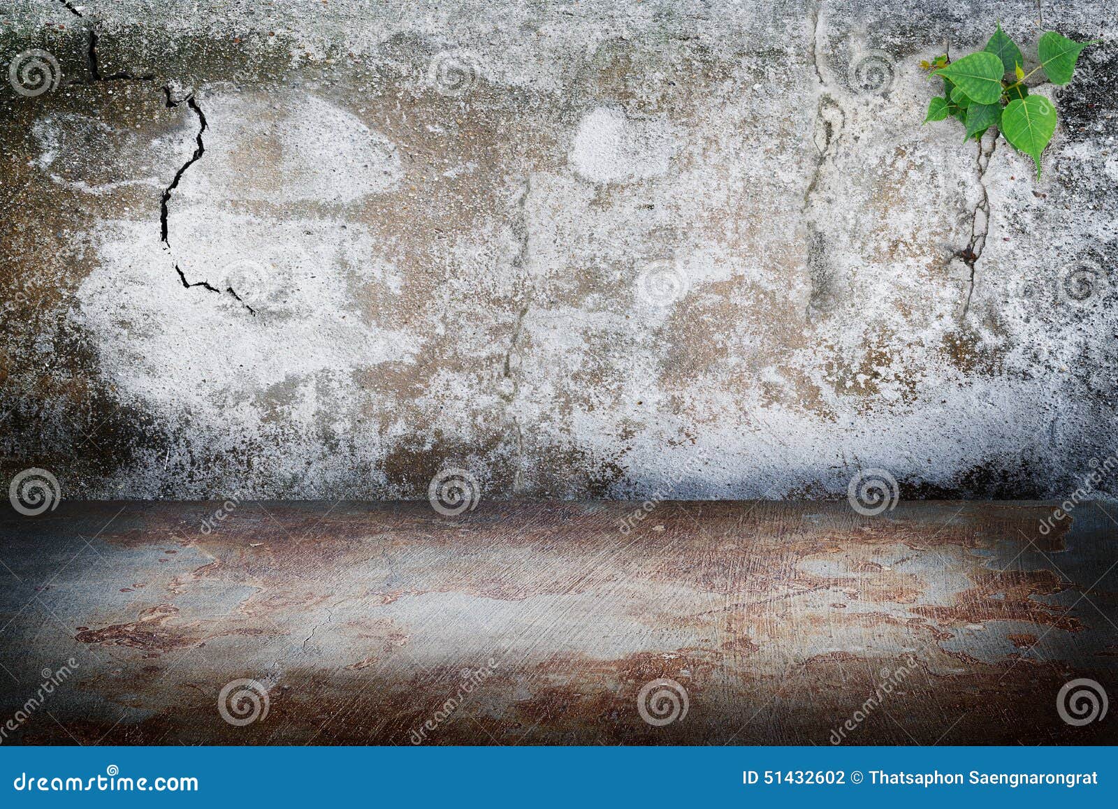 El Muro De Cemento Viejo Del Sitio Oscuro Del Grunge, Moho Mancha El