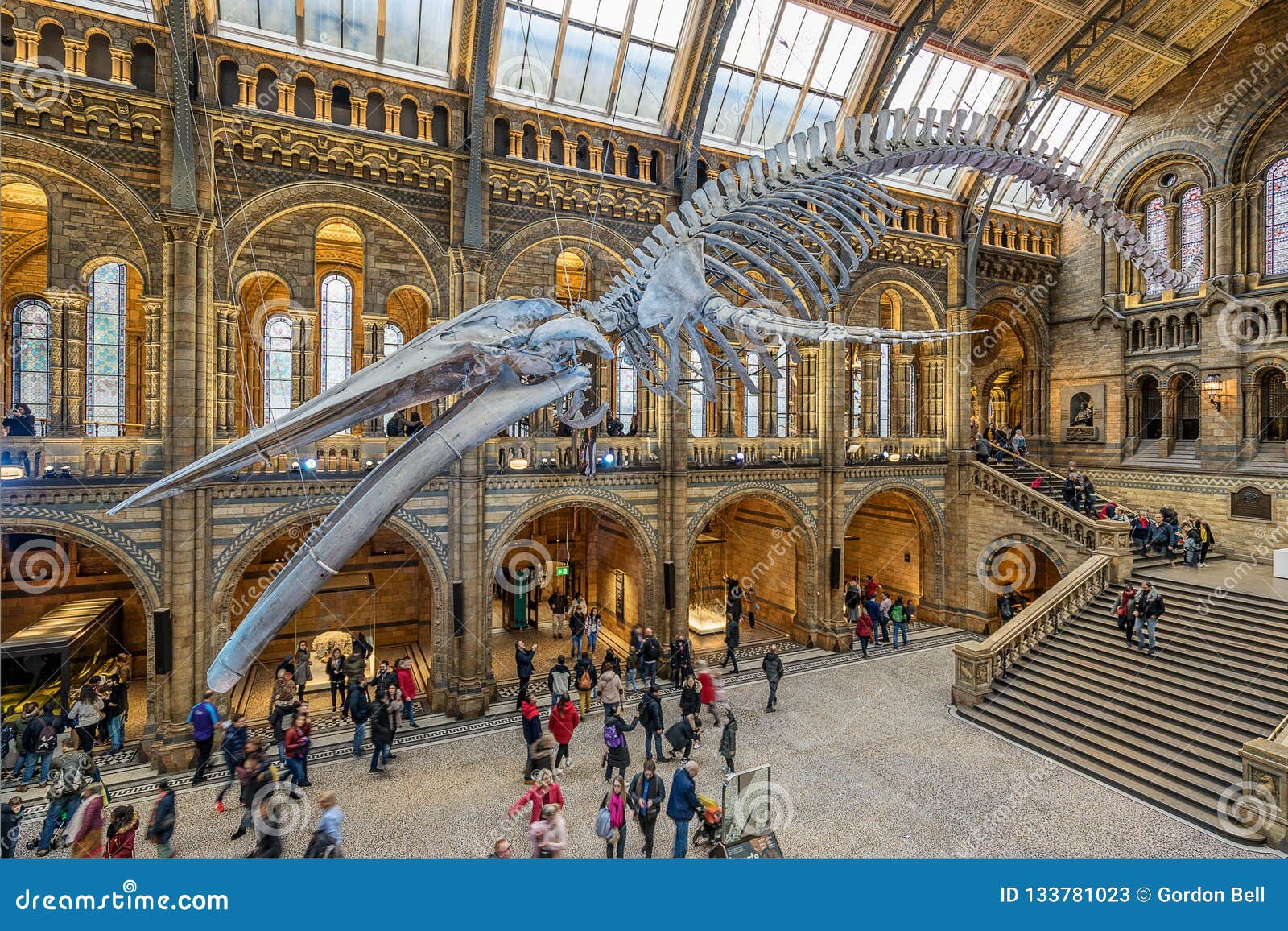 El Museo De La Historia Natural En Londres Foto De Archivo Editorial el-museo-de-la-historia-natural-en-londres-foto-de-archivo-editorial