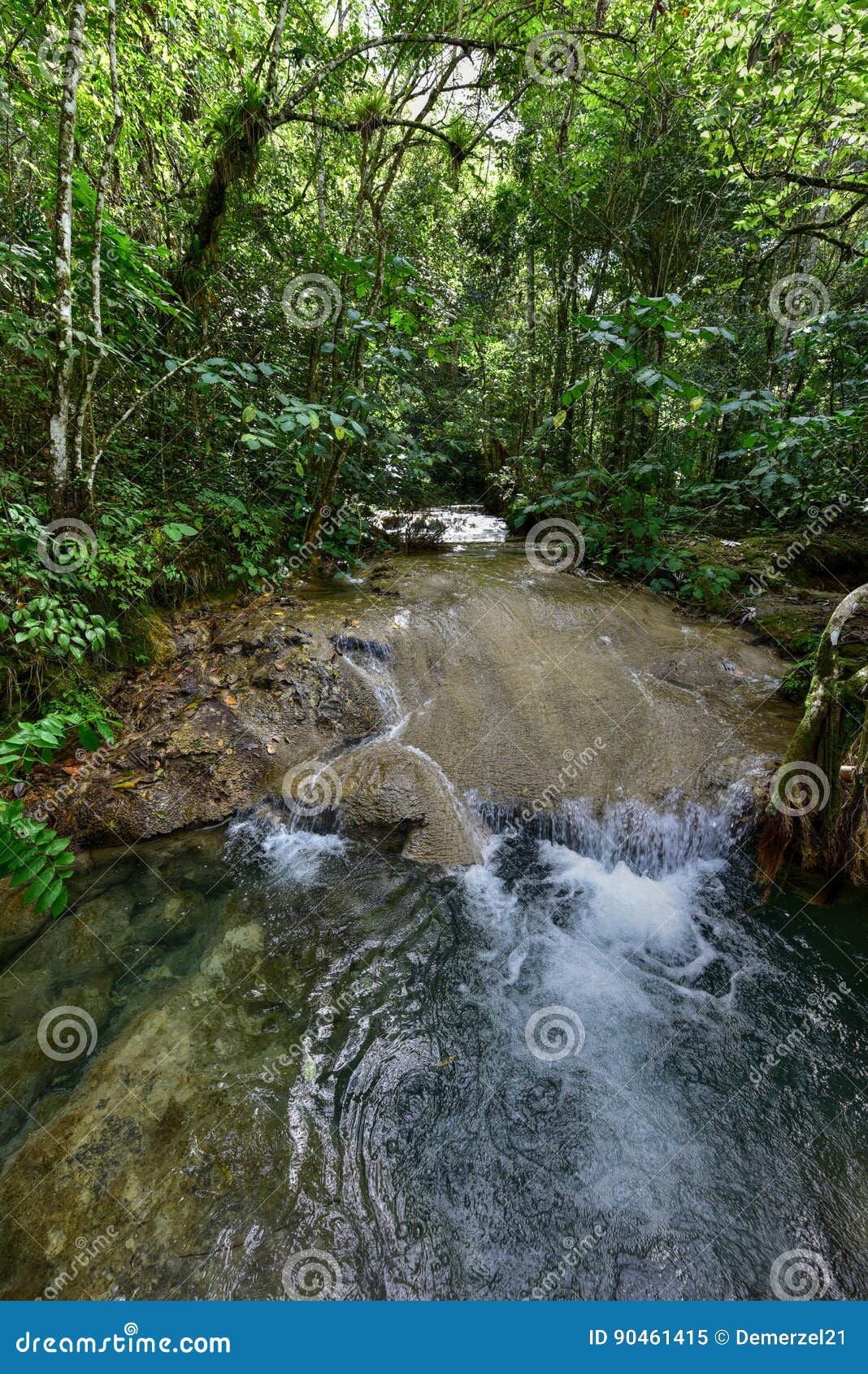 el nicho waterfalls in cuba