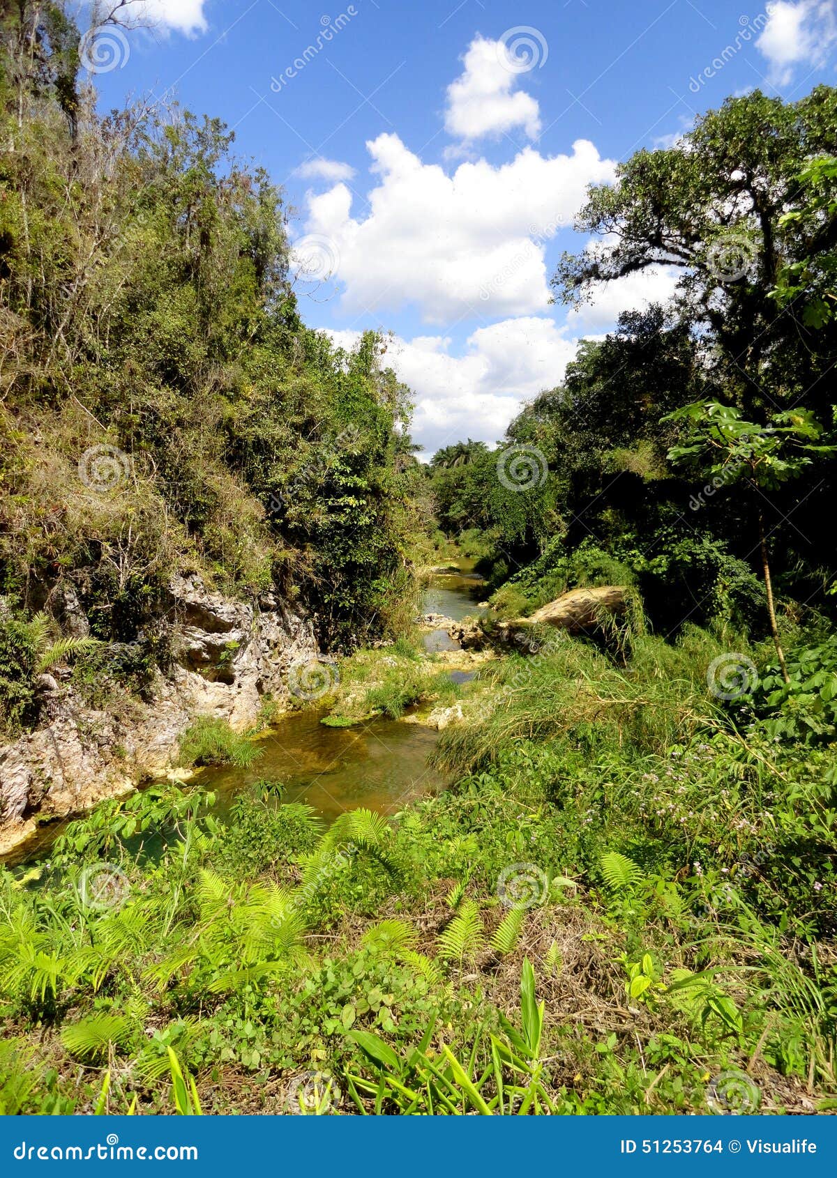 el nicho waterfalls